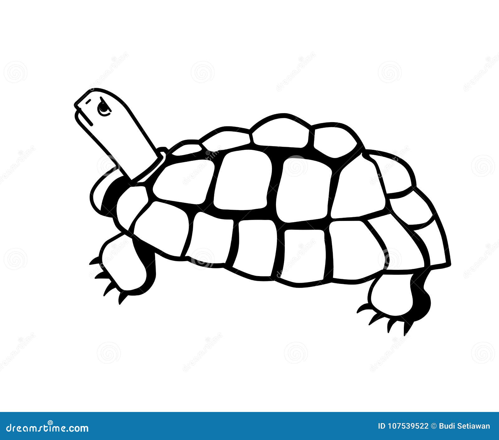 Clipart Images Graphiques De Conception De Tortue Illustration De Vecteur Illustration Du Amphibie Endangered