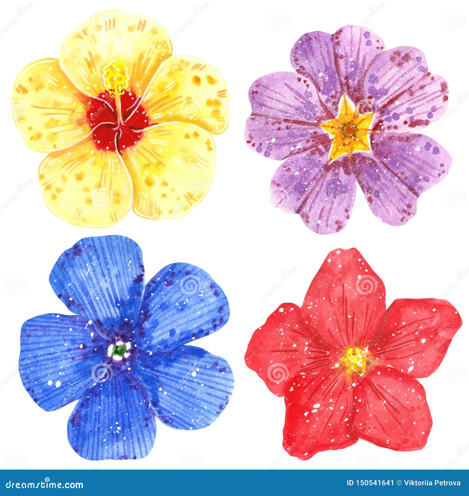 Clipart Set Of Colorful Flowers Hibiscus Clematis Daisy And Primrose Stock Illustration Illustration Of Drawing Fresh 150541641
