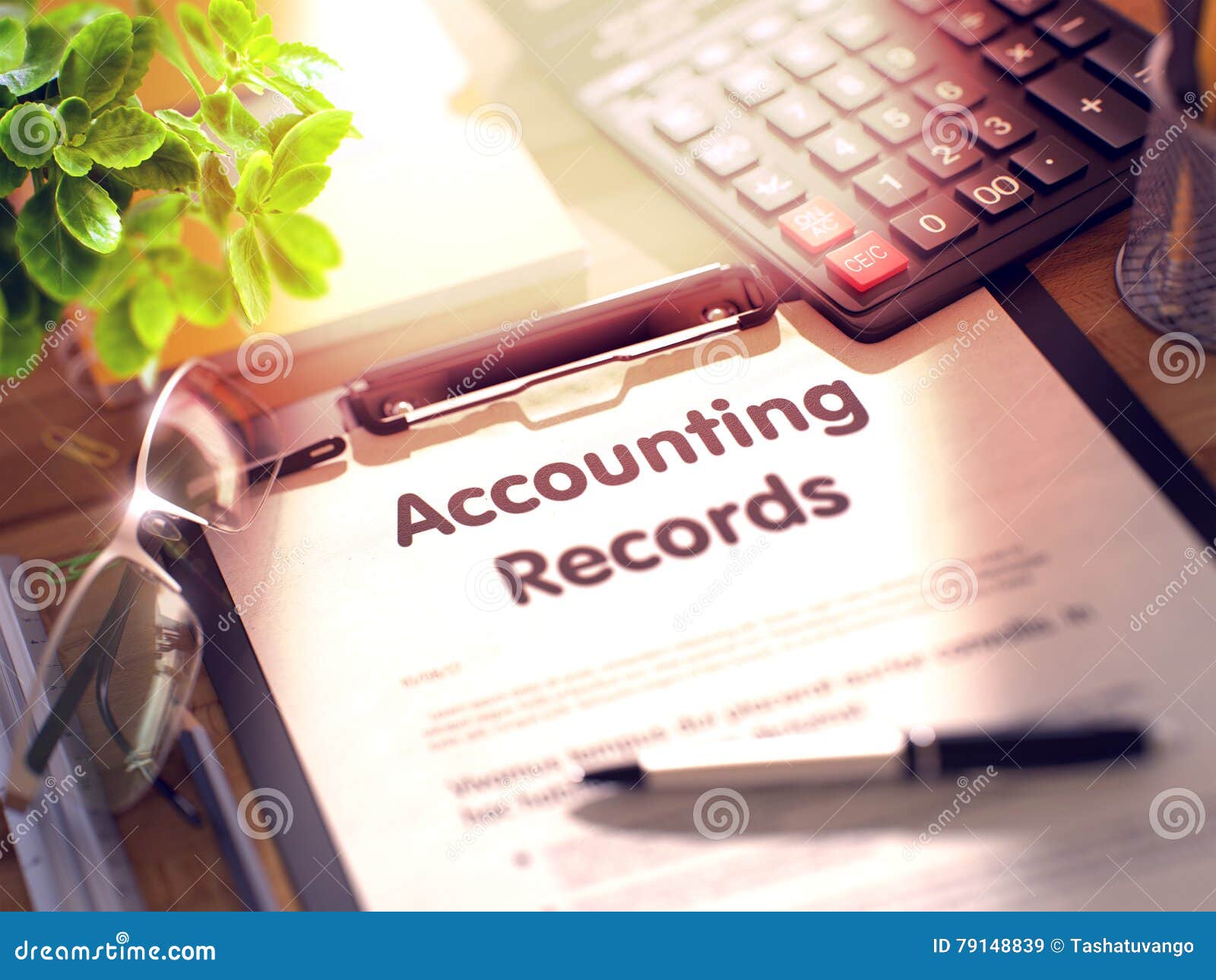 Accounting Records, Financial Statements Audit Stock Illustration