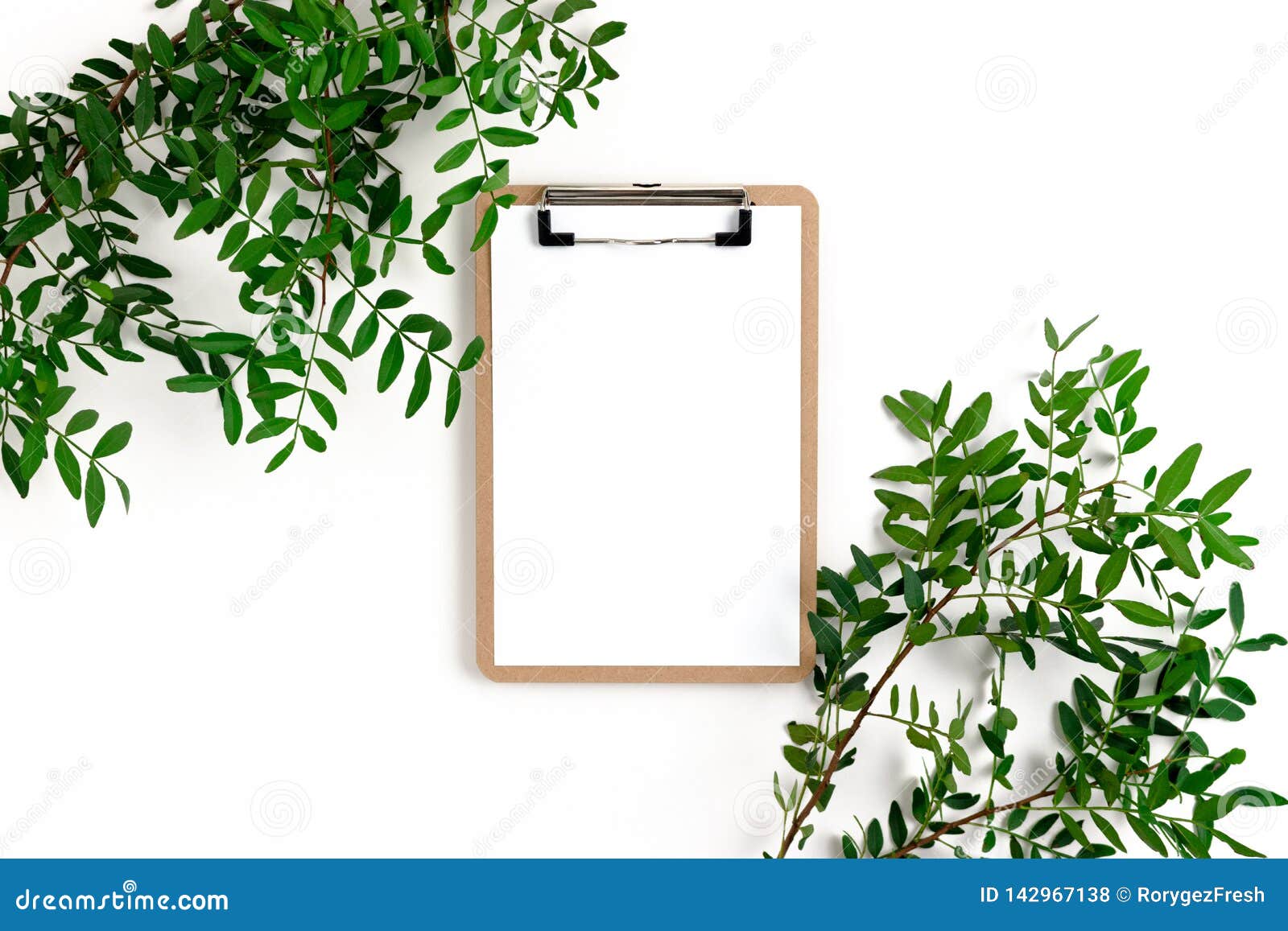 Clipboard Mock Up. Border Frame Made of Pistachios Branches Stock Photo