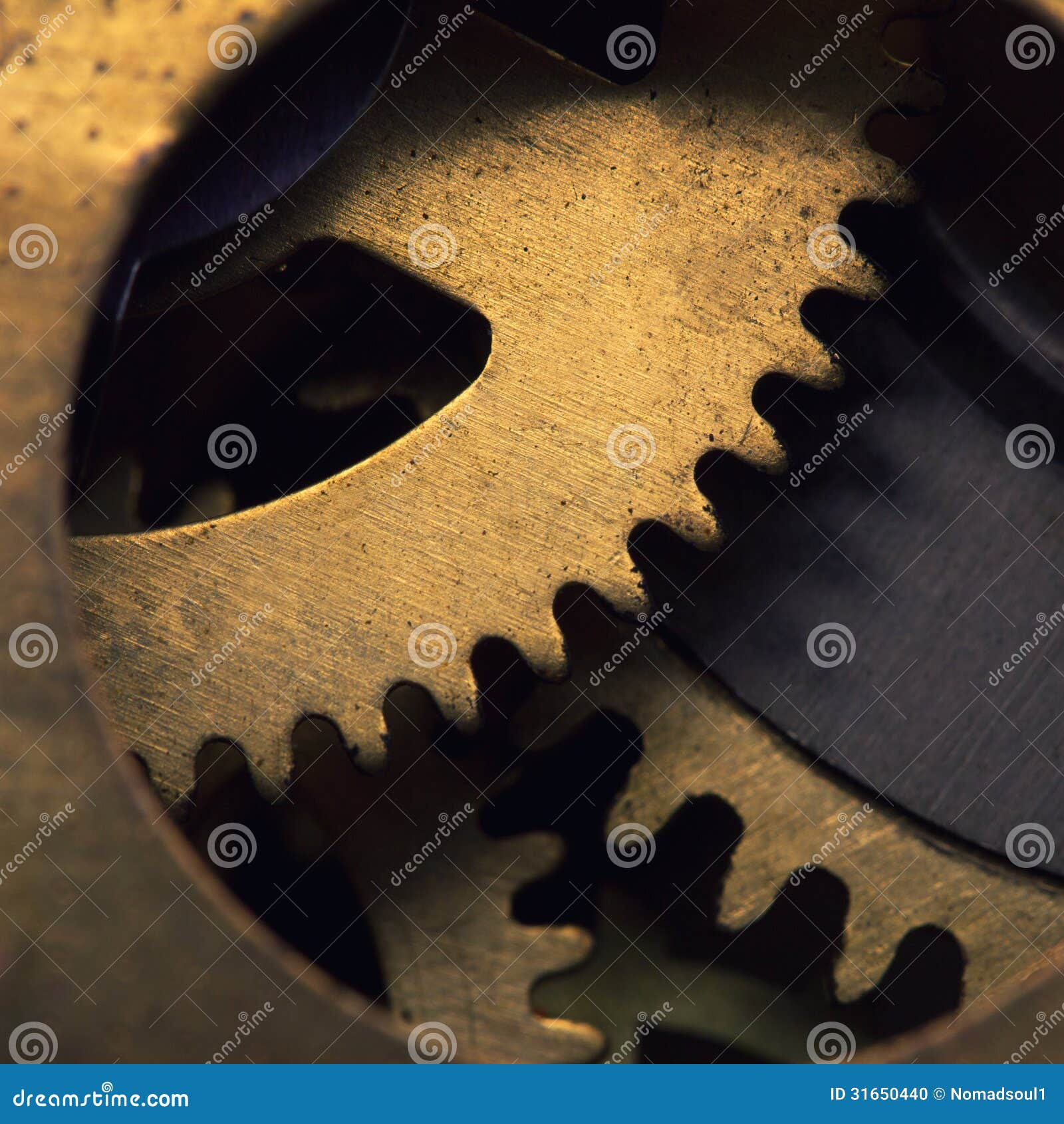 My Image 23
