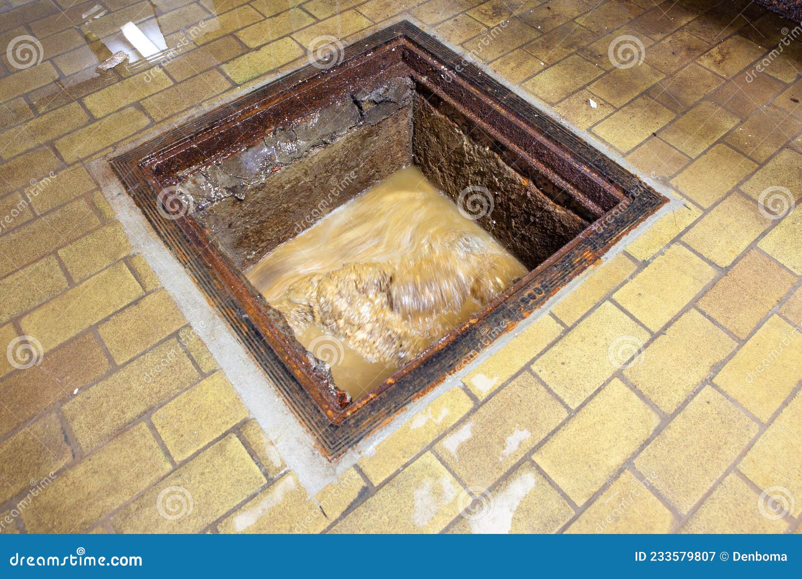 Shit in a peephole stock image. Image of metal, brown 233579807