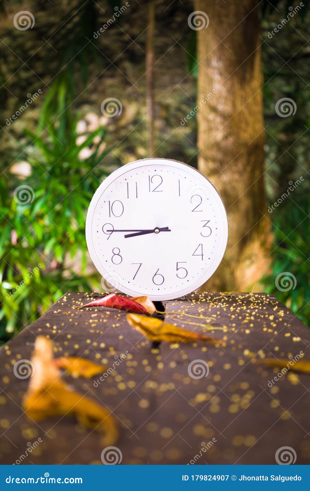 Clock 845 Season Forest Nature Stock Image Image of cute, countdown 179824907