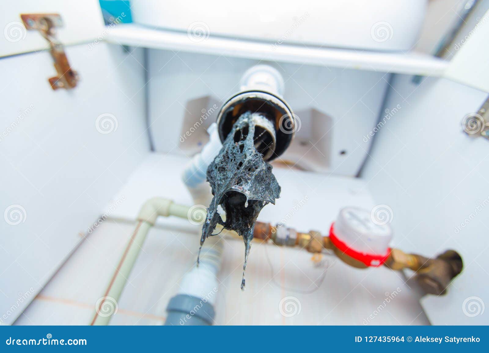 Clogged Sink Pipe Unclog A Drain From Hairs And Other Stuff Checking Hydraulic Trap For Draining Water Under The Sink Stock Photo Image Of Hand