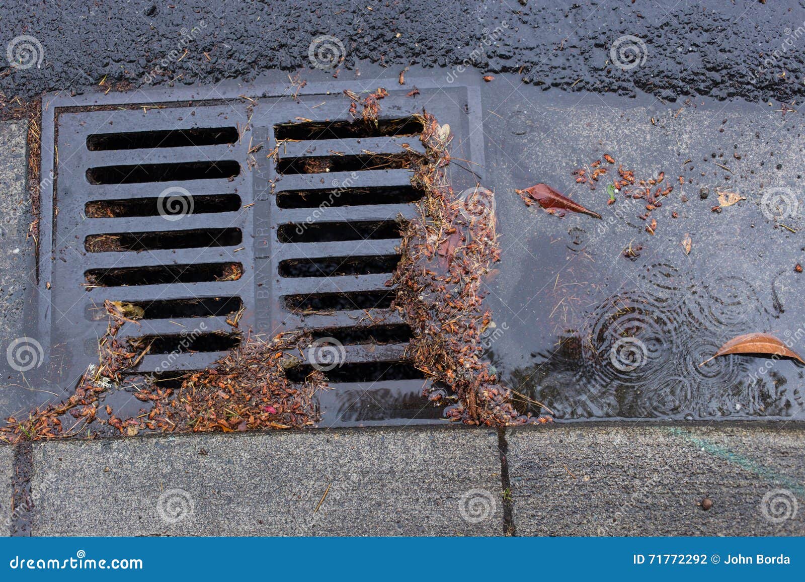 Clogged a Street Drain during a Rain Storm Stock Photo Image of