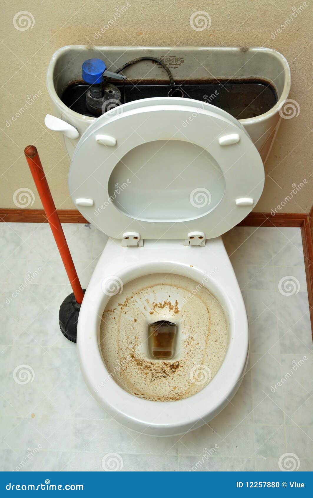 worst clogged toilet