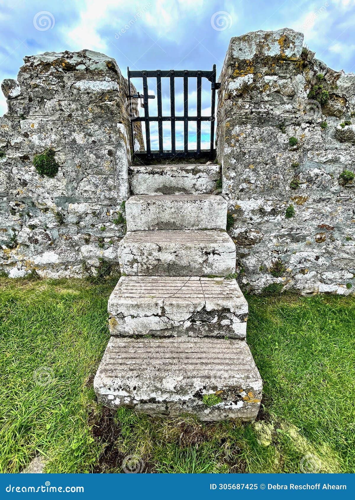 gateway at clonmacnoise monastery, county offaly, ireland