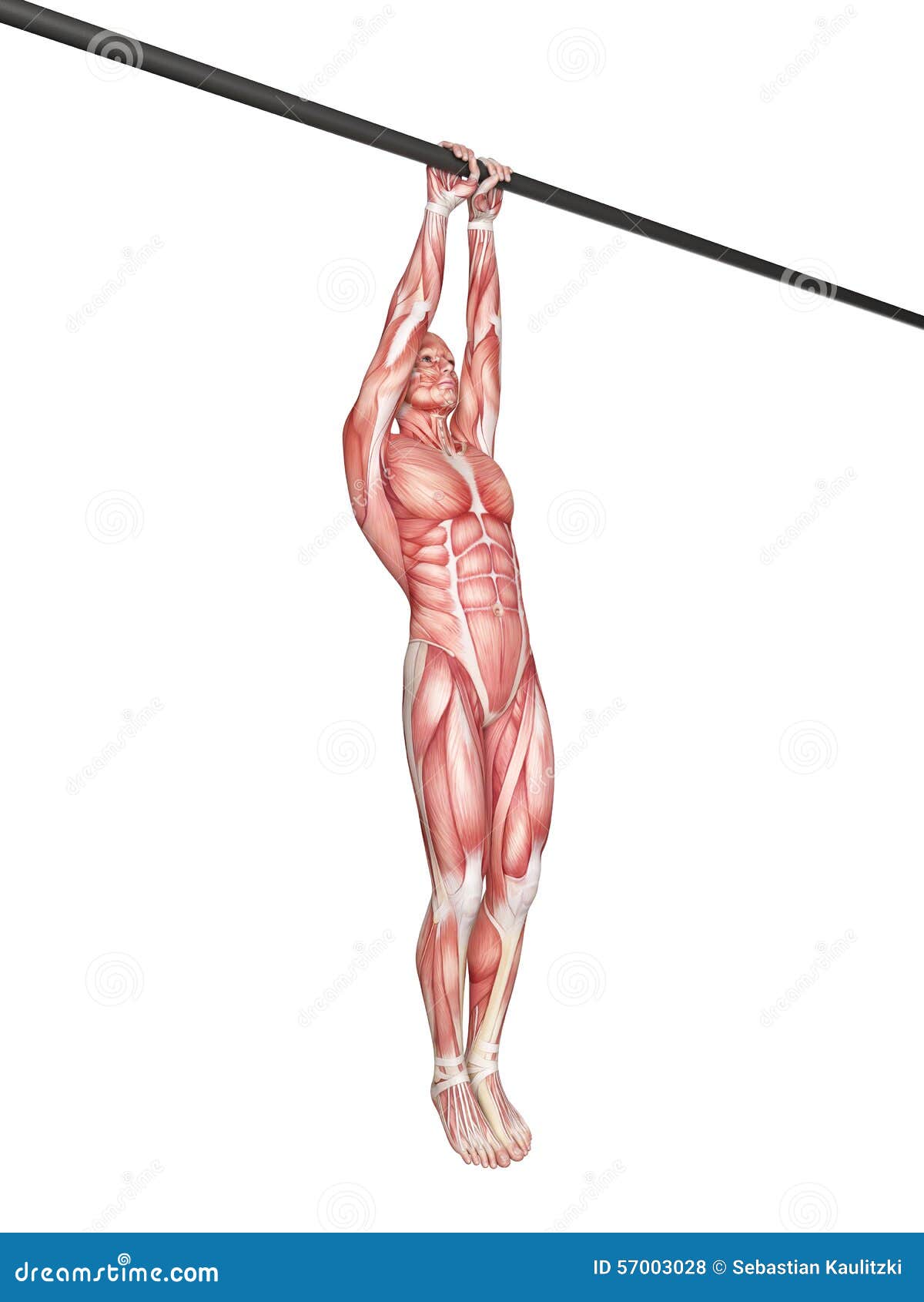 close grip pull up