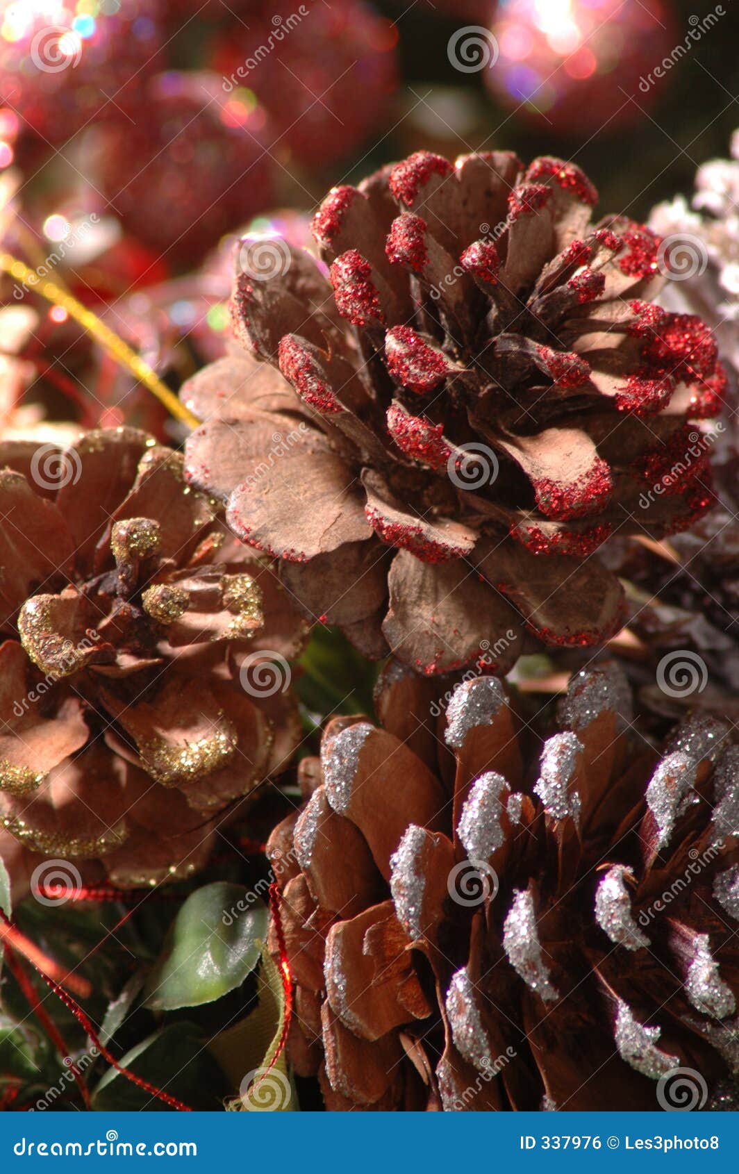 Close pine cones stock photo. Image of background, close 337976