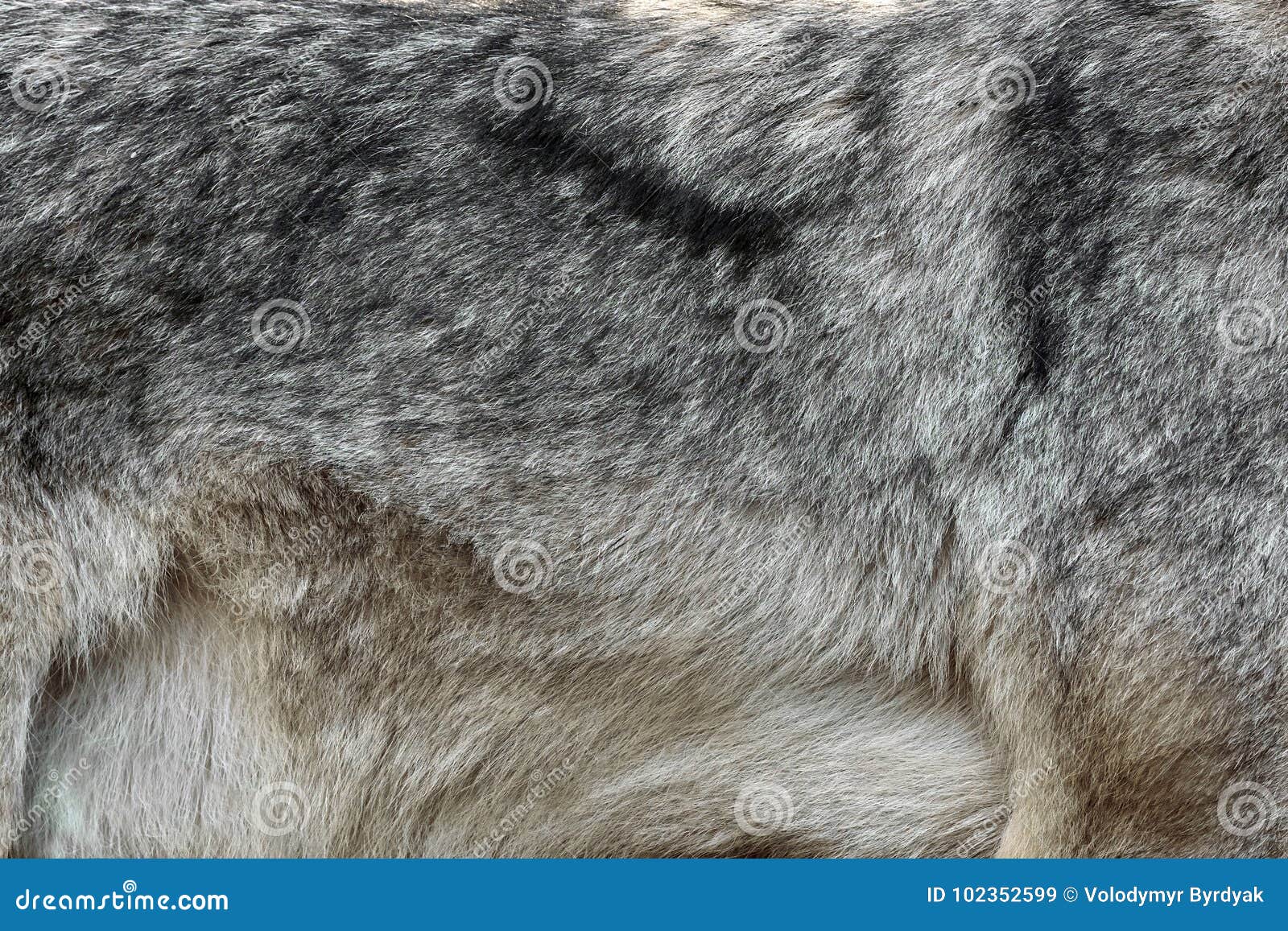 furreal friends wolf