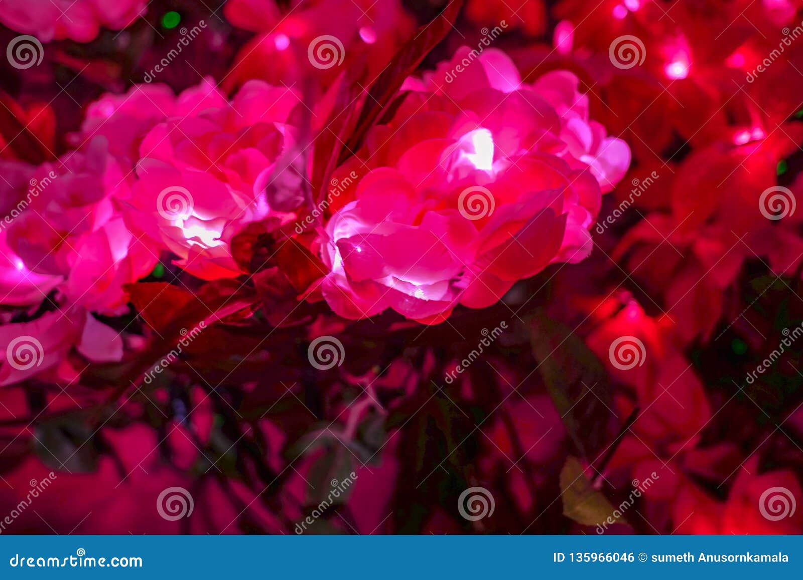 Close Up Artificial Flowers and the Light Stock Photo Image of nature