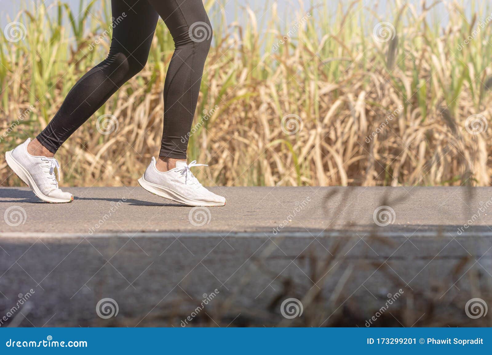 running shoes road runner