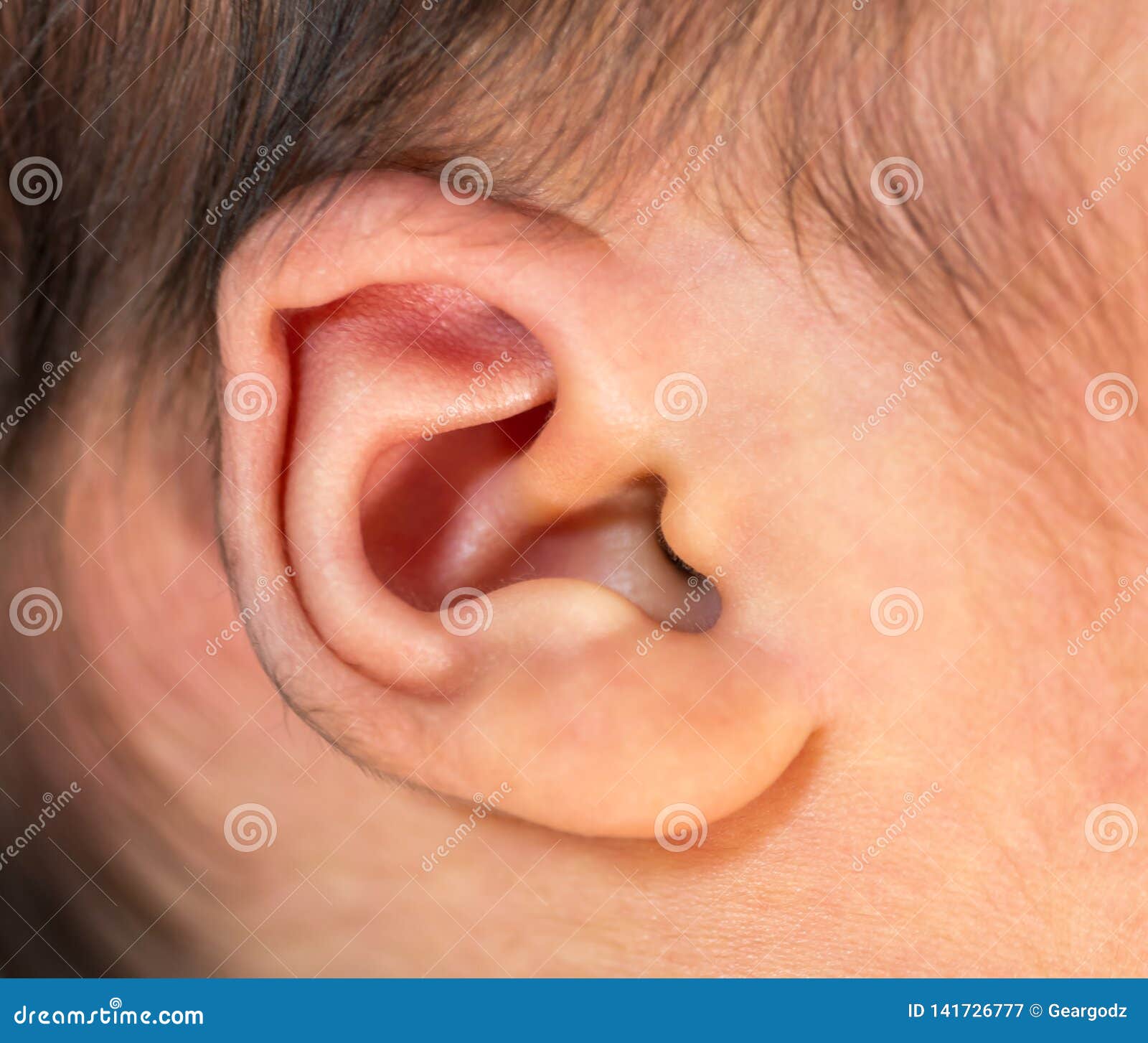 Close up baby newborn ear stock image. Image of human 141726777
