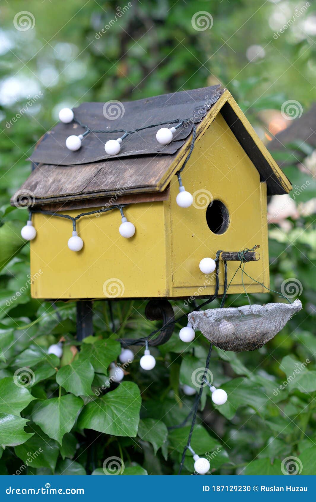 close up background. nestbox on a tree.