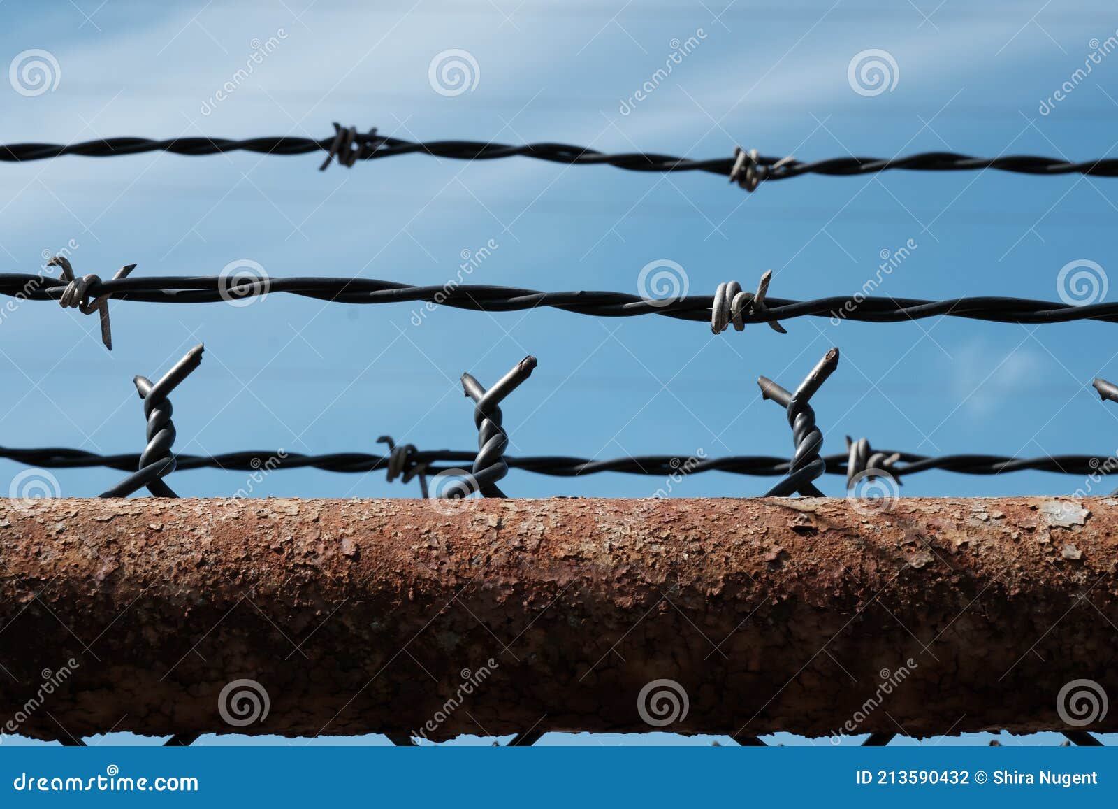 Close up of barbed wire stock photo. Image of barbed 213590432