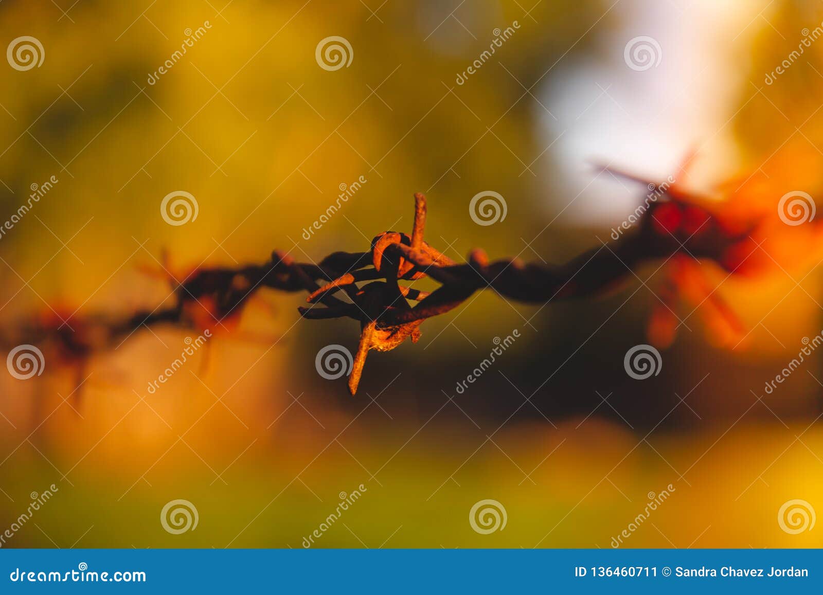 barbed wire . rusty metal