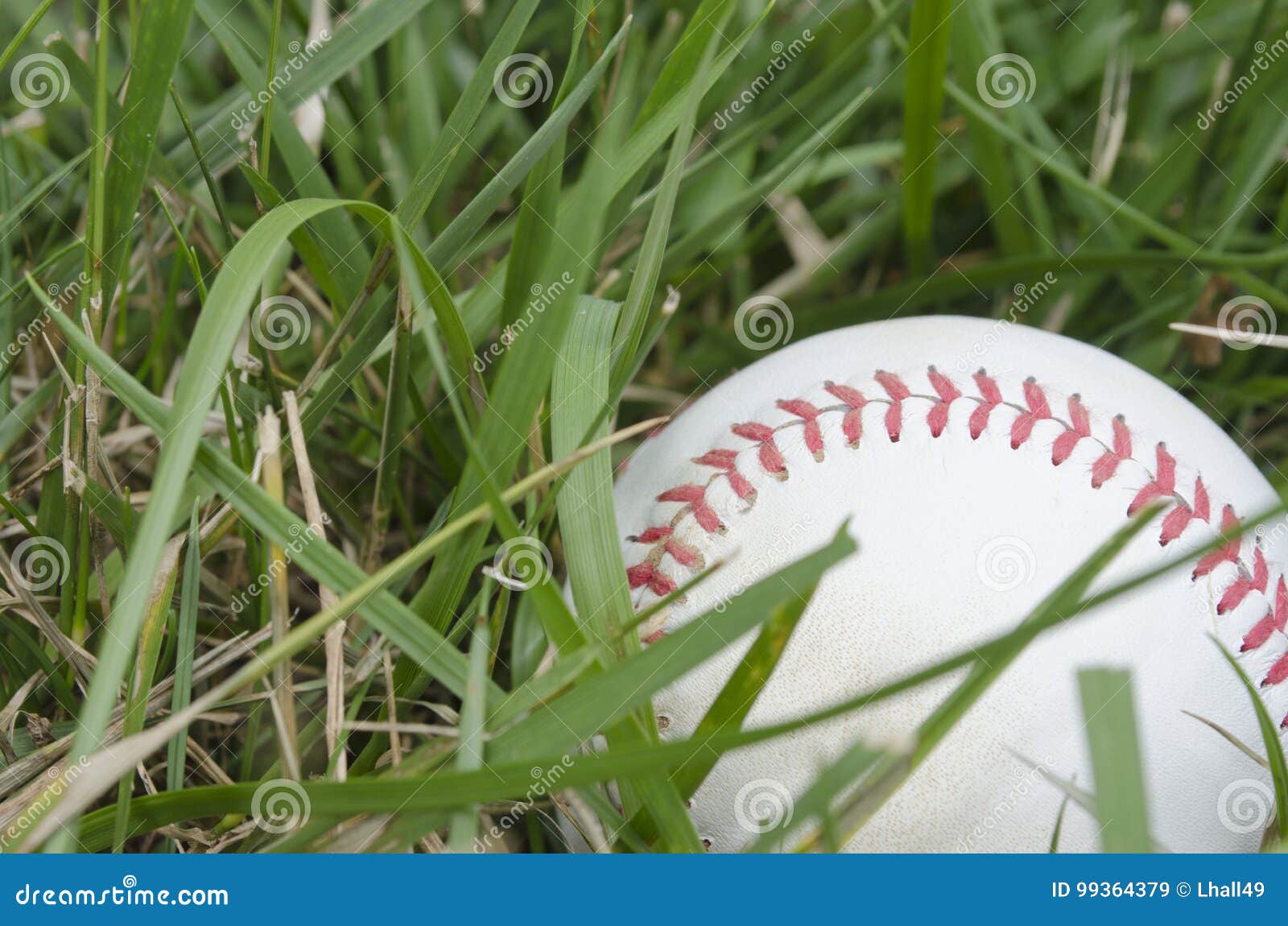 Baseball in Grass stock image. Image of summer, comeptition 99364379