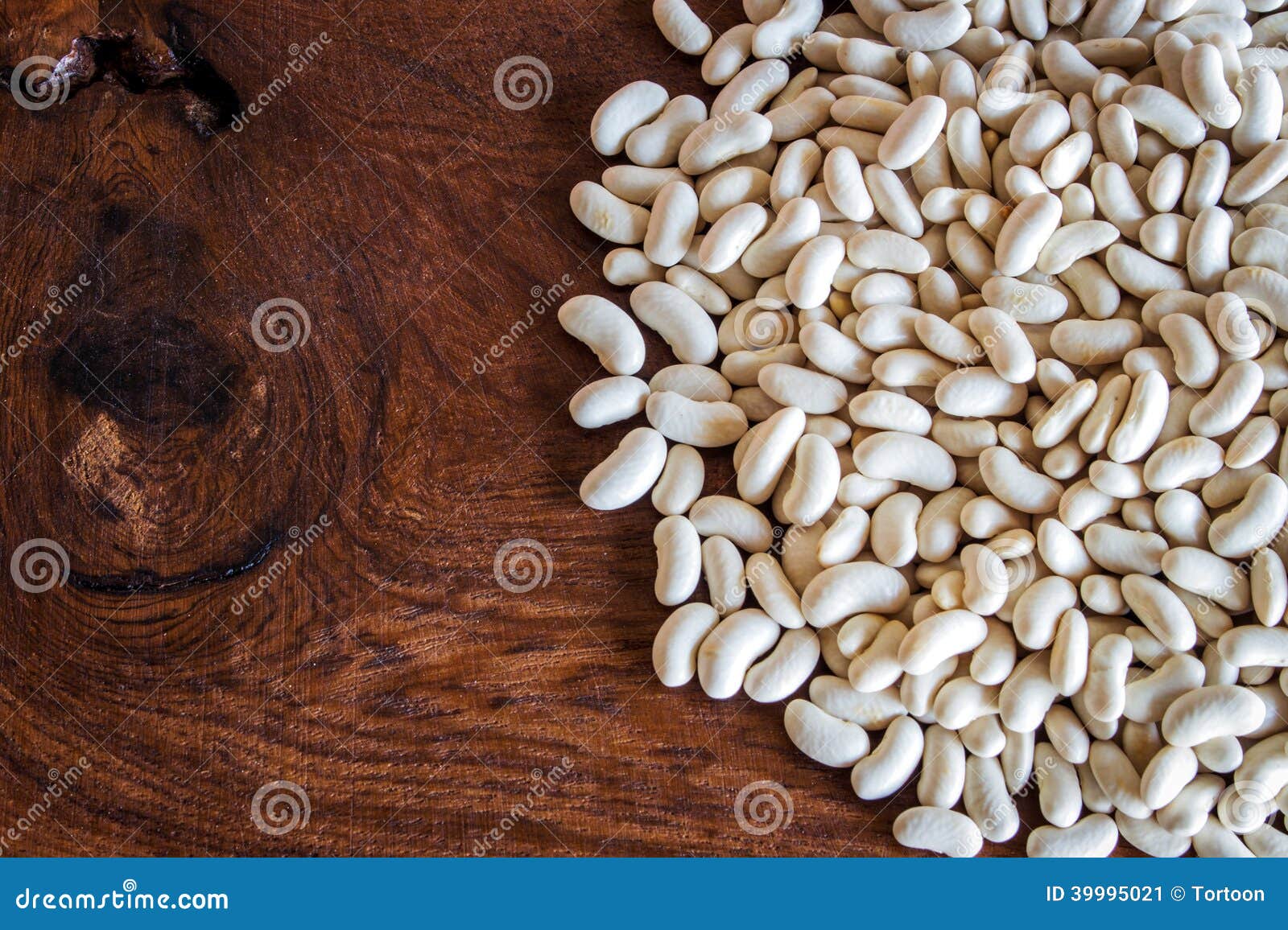 Close Up Bean White Seed on Wood Stock Image Image of legume, lunch