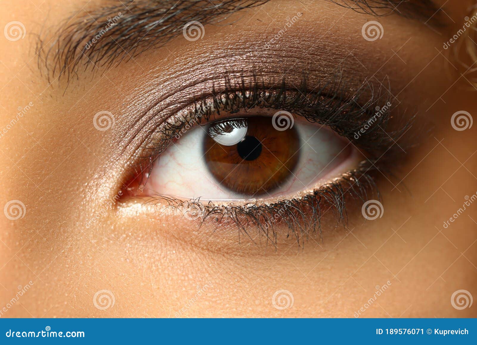 Beautiful Brown Eye Of A Young Woman Stock Image Image Of Charming