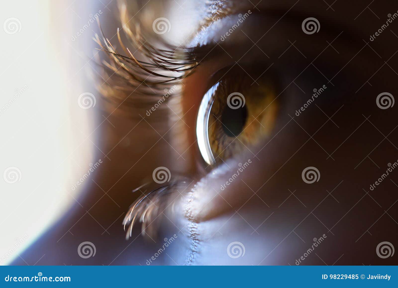 Close-up of Beautiful Little Girl Brown Eye Stock Image - Image of ...