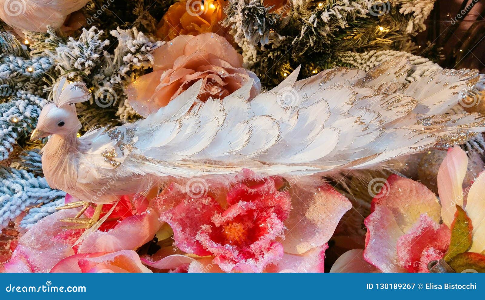 Close Up of Beautiful Pink Peacock on Christmas Tree Stock Image ...