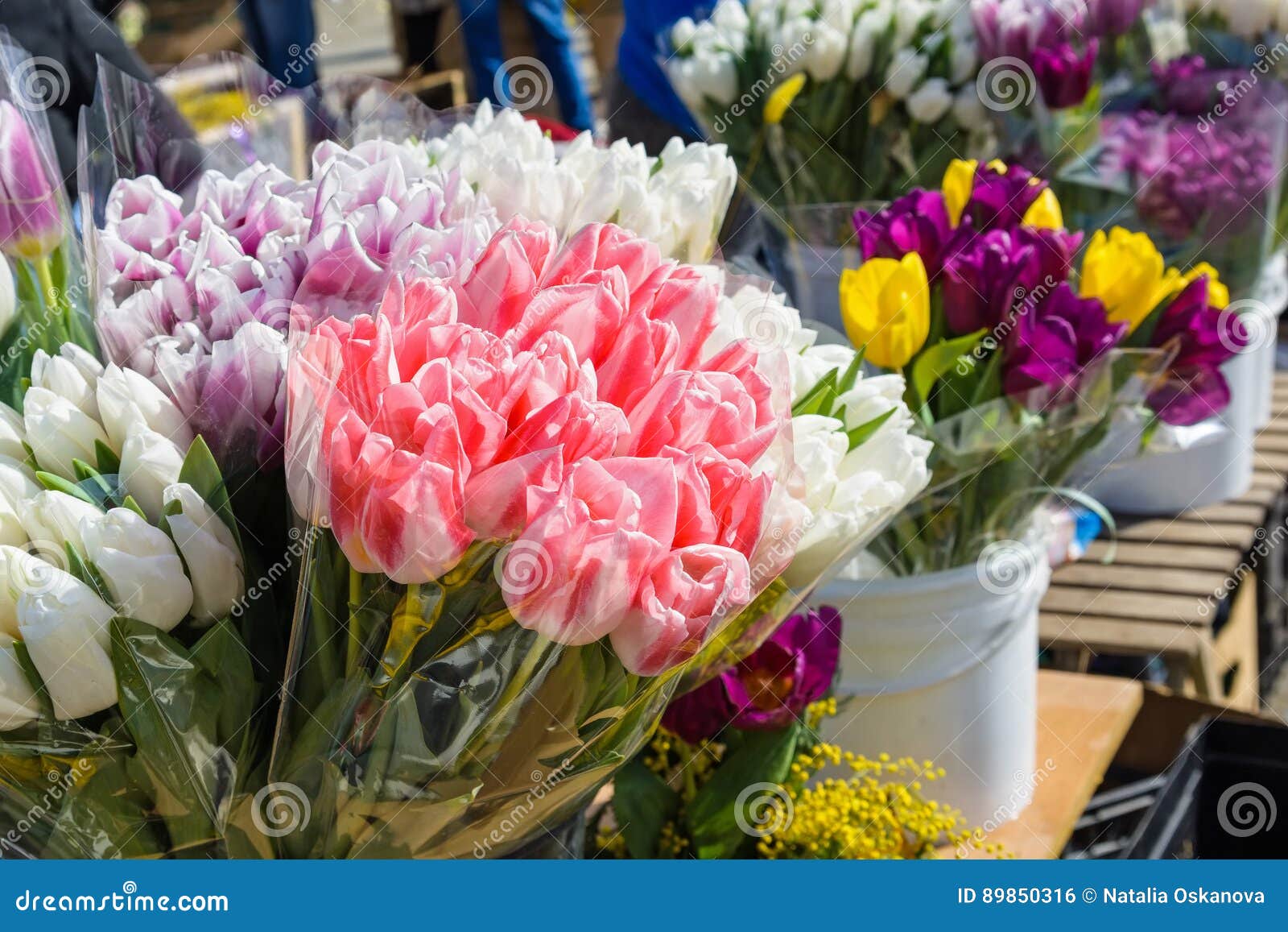 Close Up Beautiful Tulips for Sale on a Market Stock Photo - Image of ...