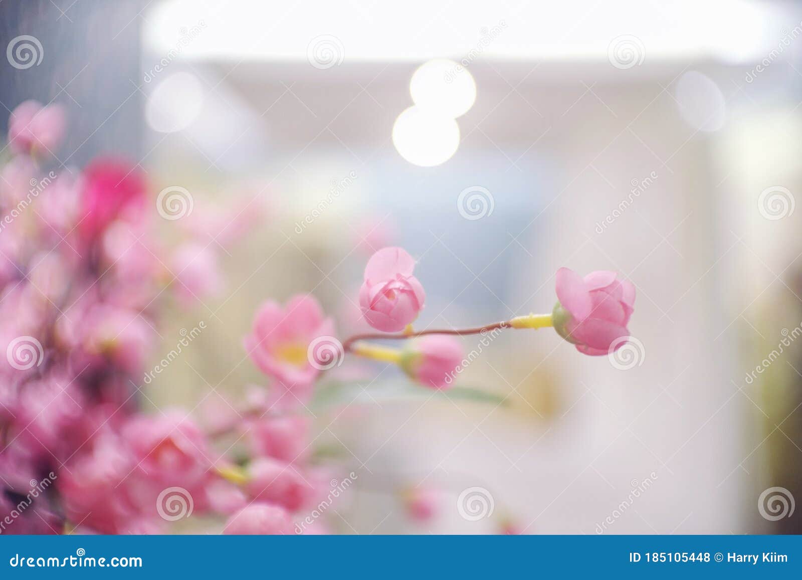 Close Up Beautiful Wedding Flower in Soft Style Blur Background. Copy   and Sweet Moment Concept Stock Illustration - Illustration  of flower, bouquet: 185105448