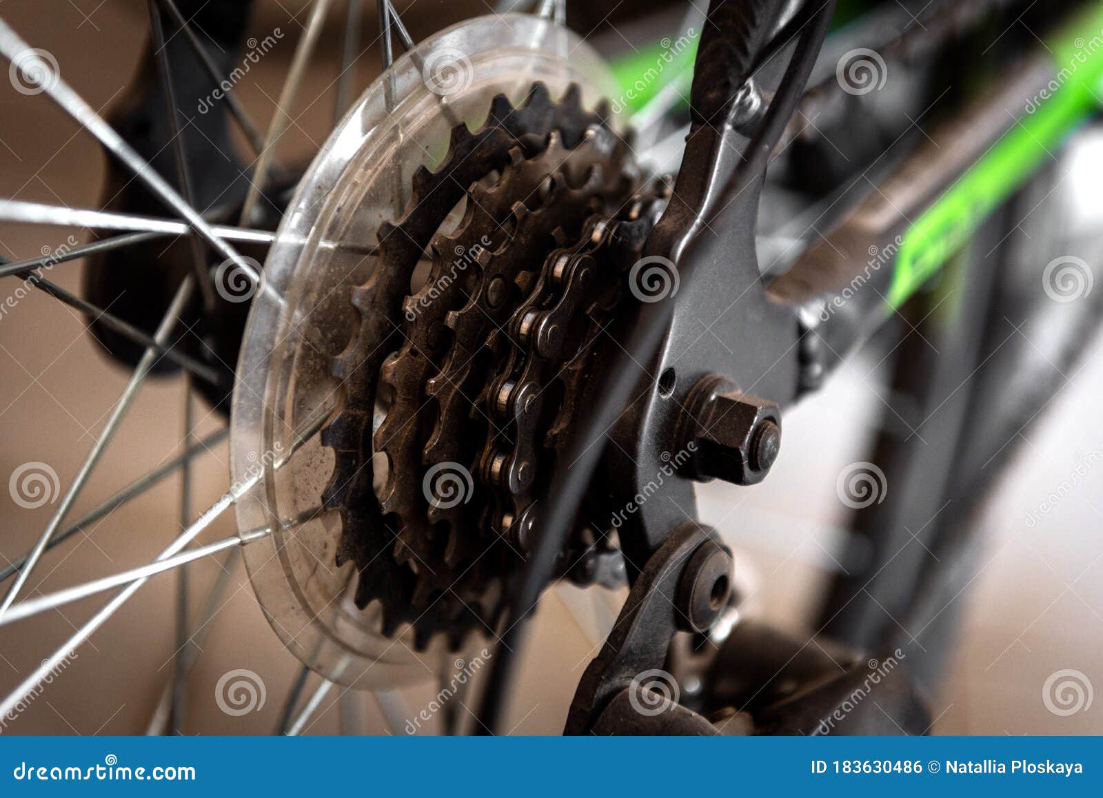 Close Up of Bicycle Wheel with Gears Details Stock Photo Image of