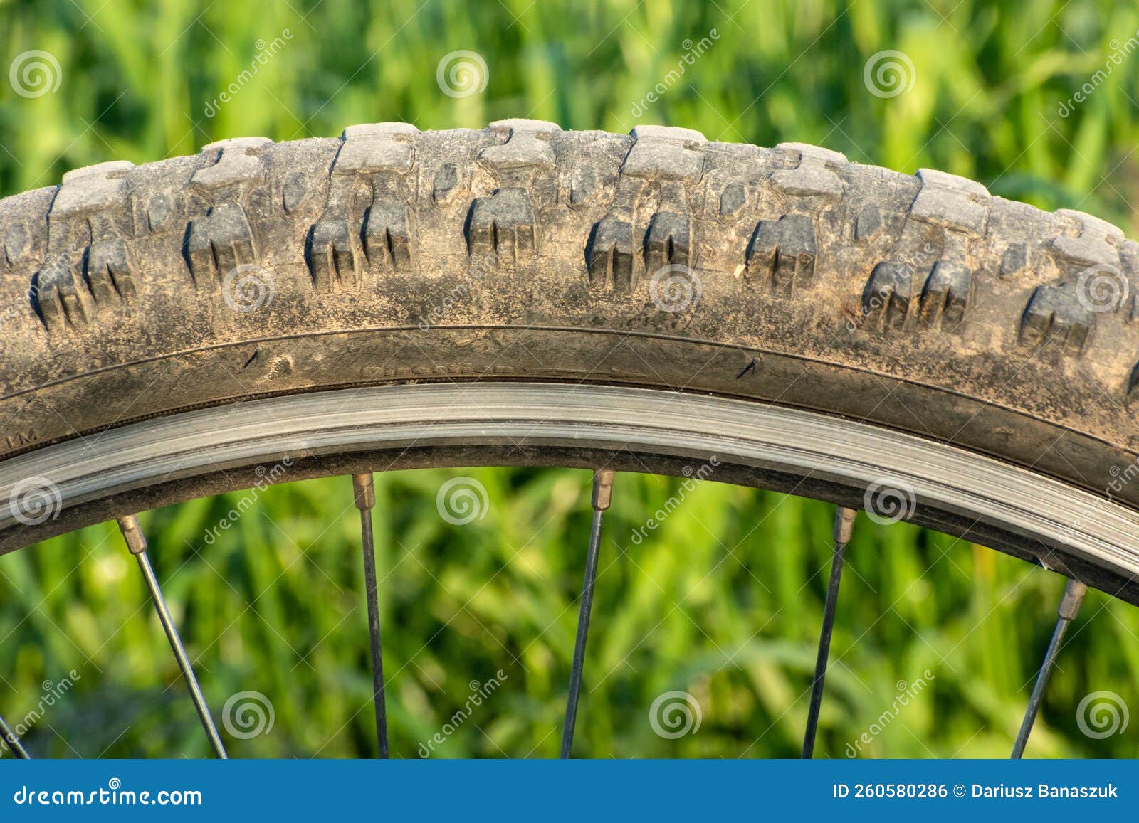 Close Up of a Bicycle Wheel with Tire and Spokes Stock Photo Image of
