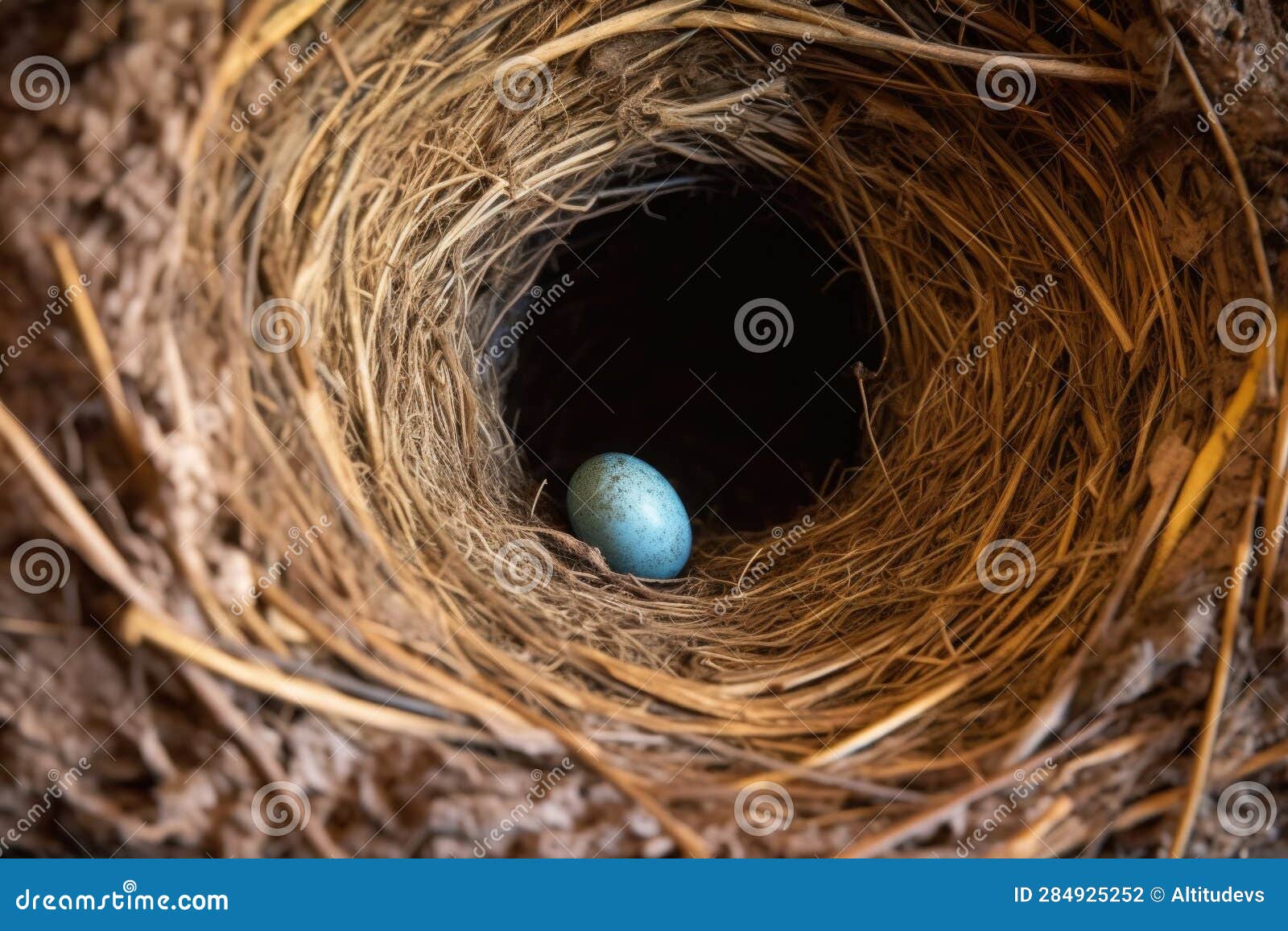 Closeup of a Bird Nest Built Inside a Vent Stock Photo Image of