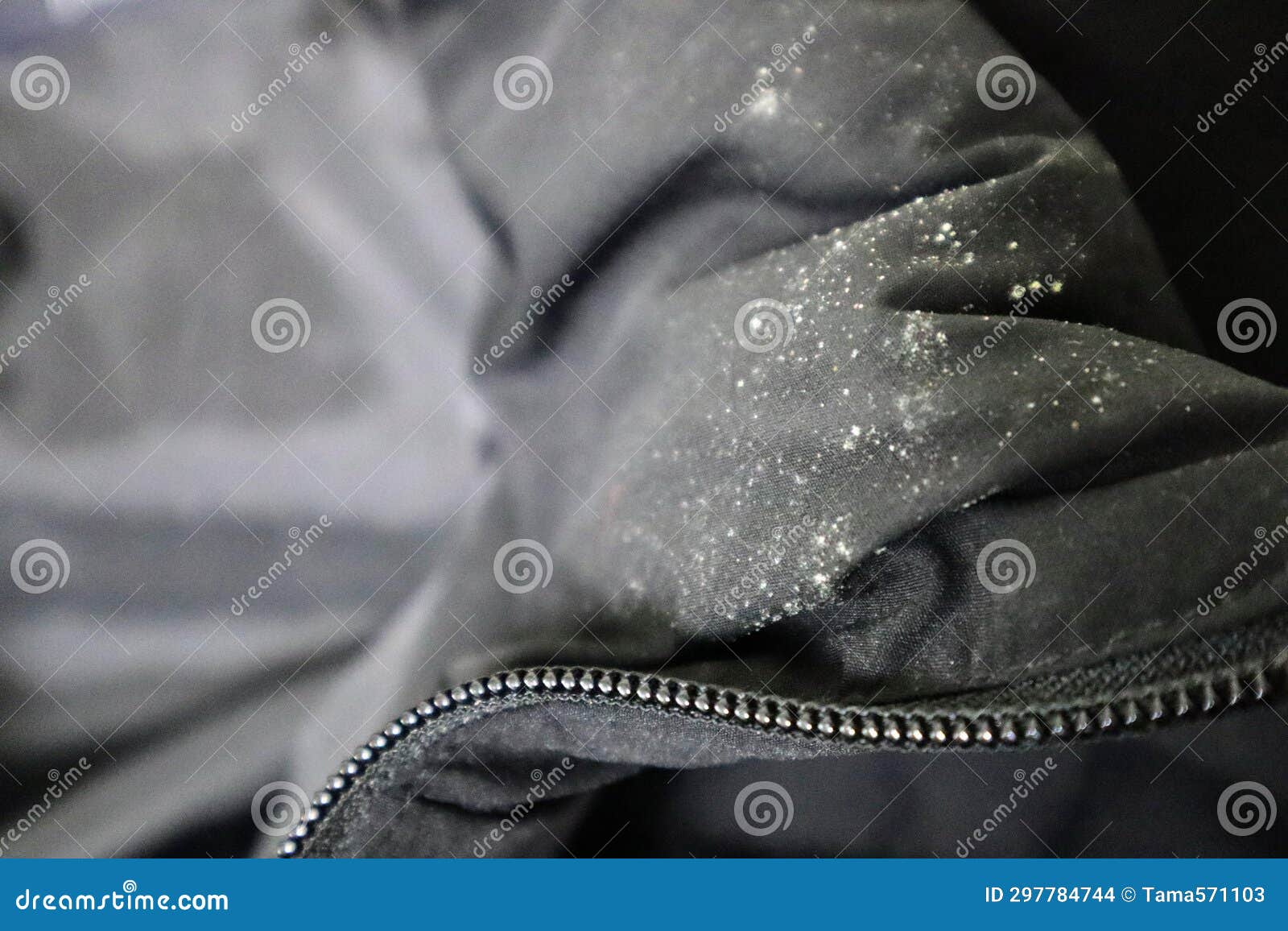 Closeup of a Black Down Jacket with Mold on it Stock Photo Image of