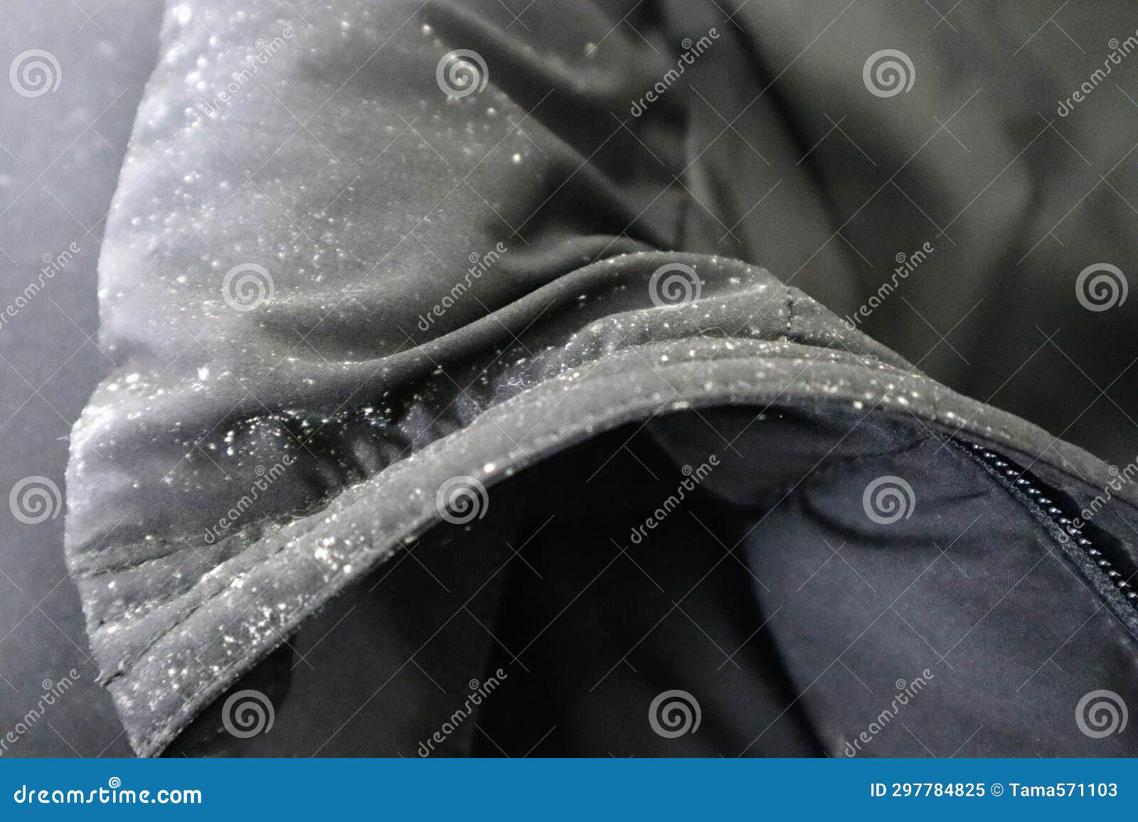 Closeup of a Black Down Jacket with Mold on it Stock Image Image of