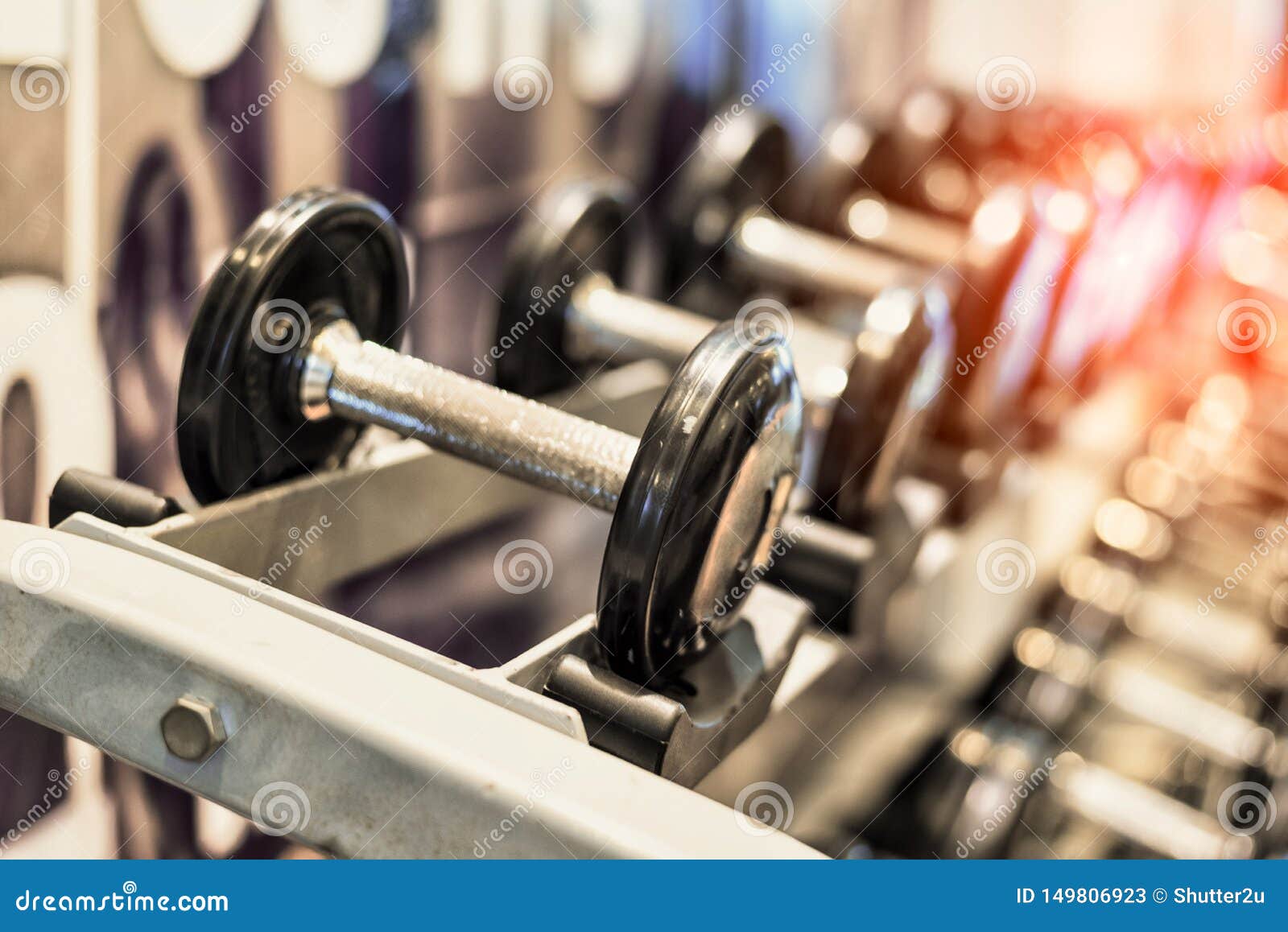 Gym Shelf Stock Photos and Pictures - 3,404 Images