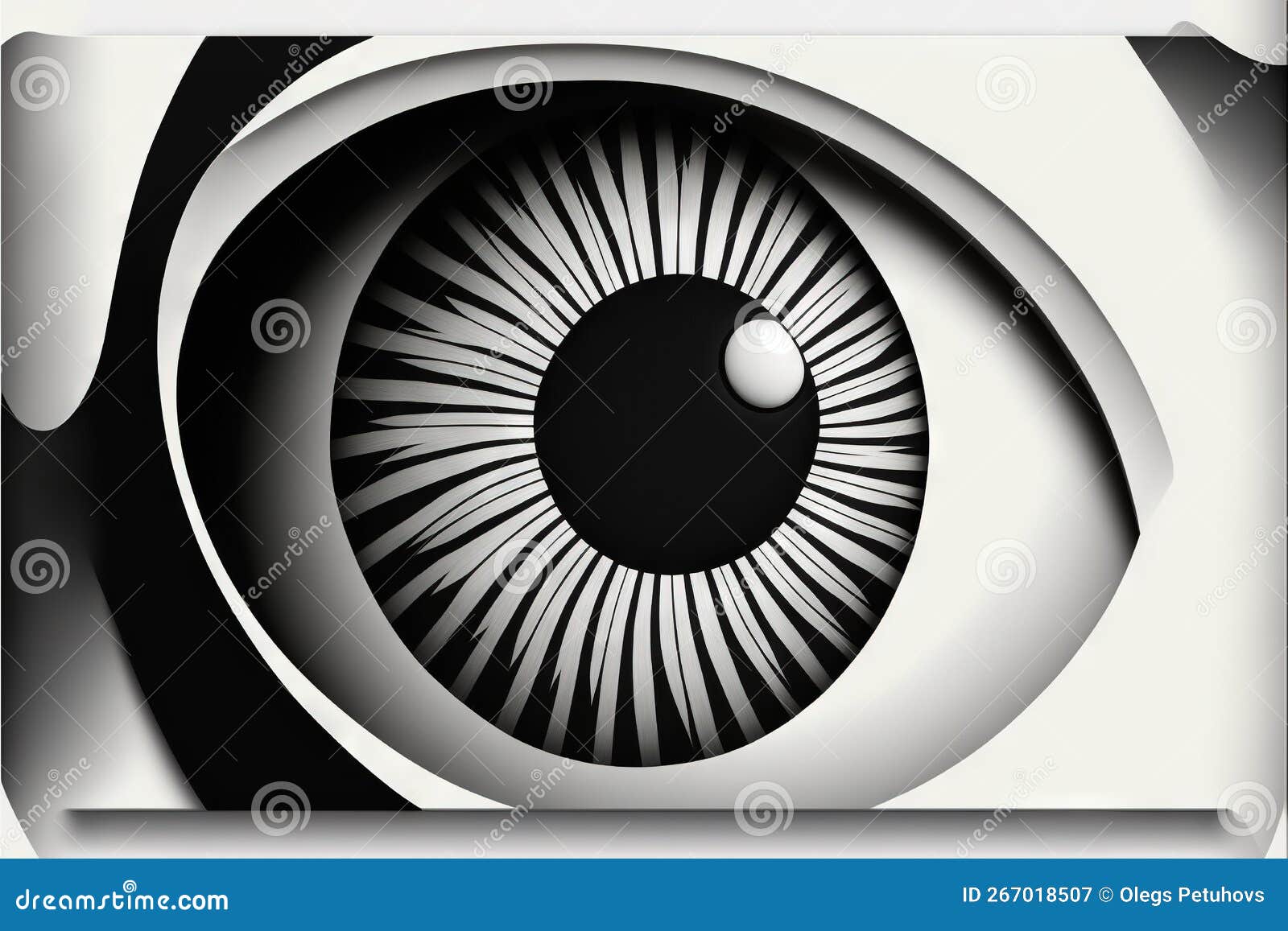 A Close Up of a Black and White Eyeball with a White Background and a