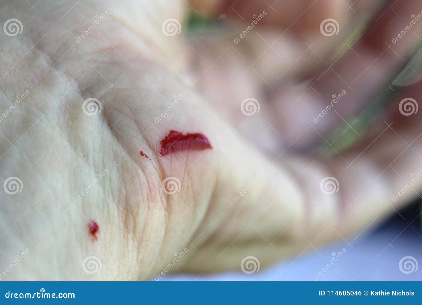 images Cut Hath Kata Hua Photo Bewafa https www dreamstime com close up bleeding cut close up bleeding cut womans hand soft focus background image114605046