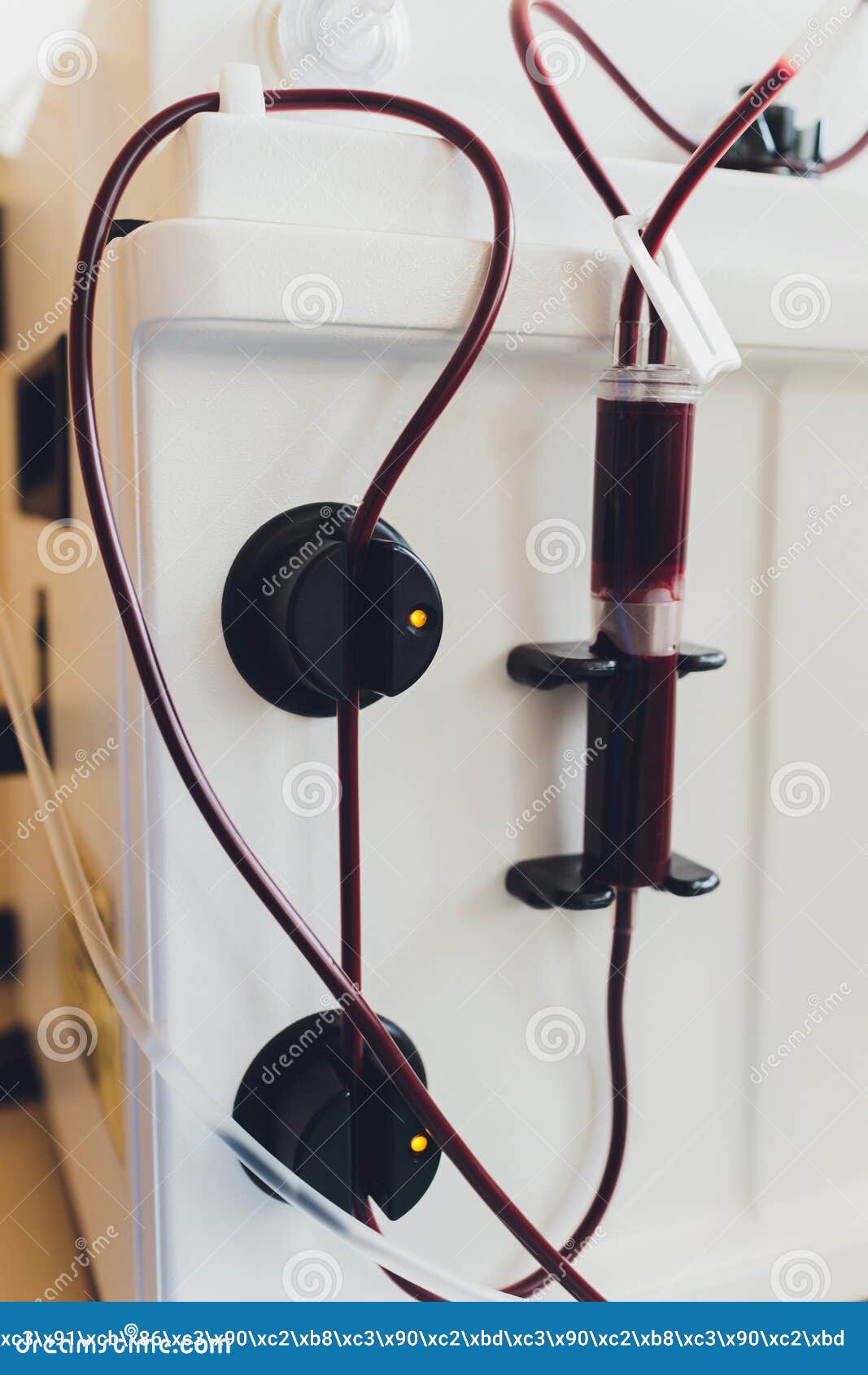Close Up of Blood Extraction in Lab. Stock Image Image of hand, giving 180484733