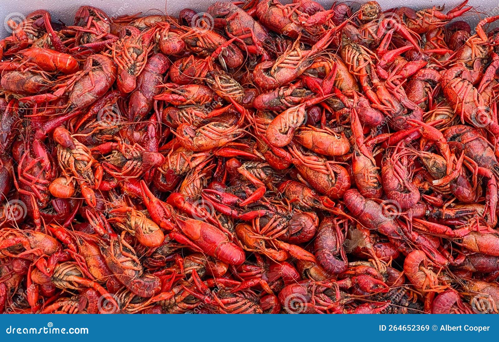 Close Up Boiled Crawfish, Fresh Crawfish Boil, Red Crawfish Stock Image