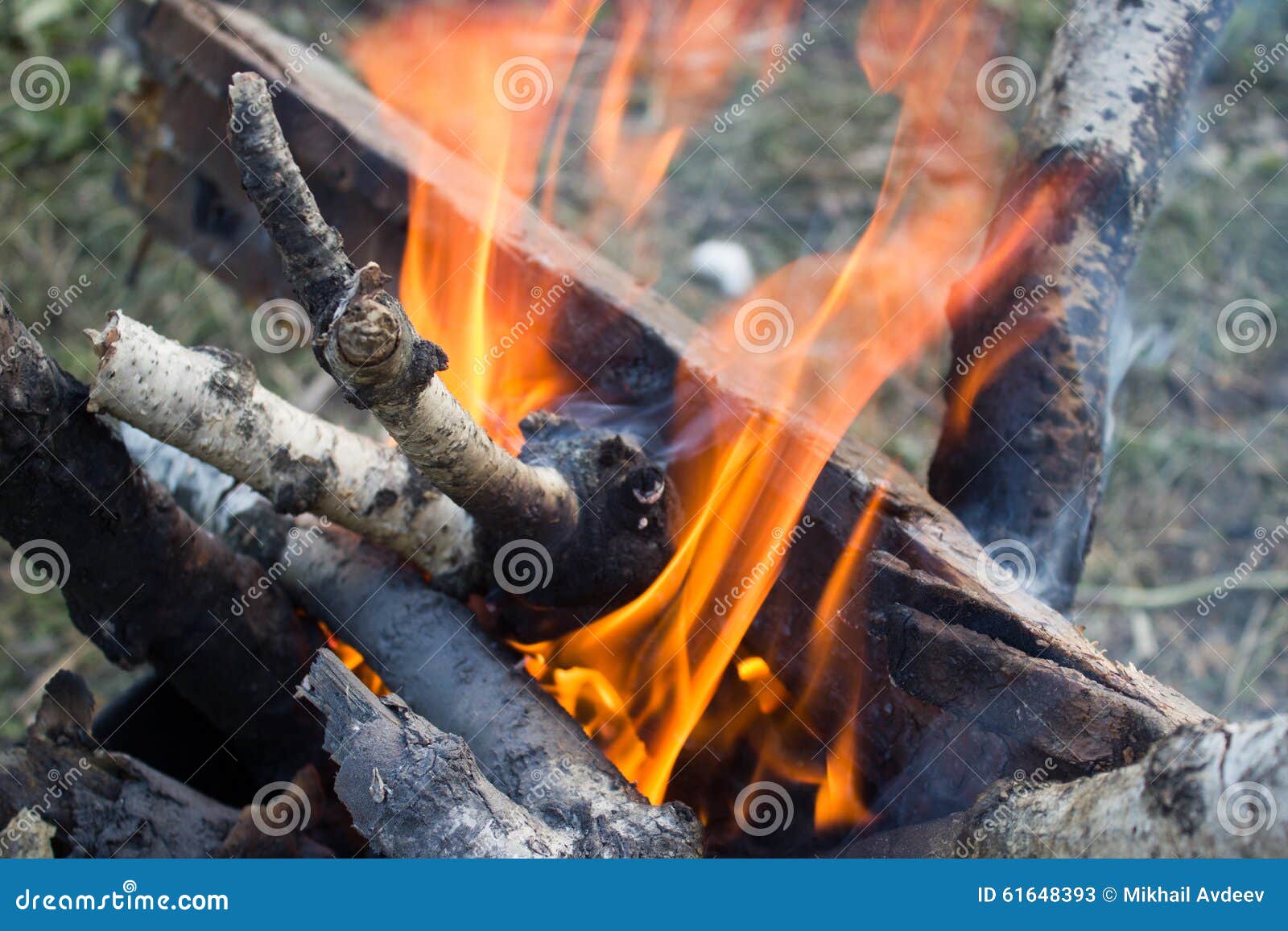 Close Up of a Bonfire with Orange Flames Stock Image - Image of flame ...