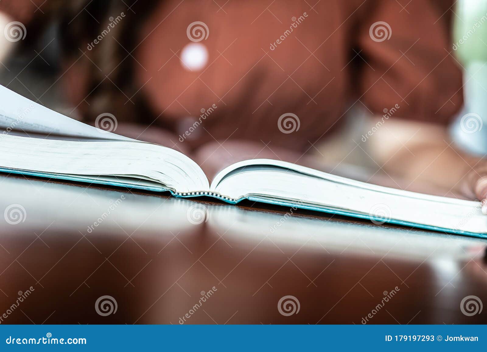 Female Hands Hold Open Bookbusiness Education Literature Read And Library  Concept Stock Illustration - Download Image Now - iStock