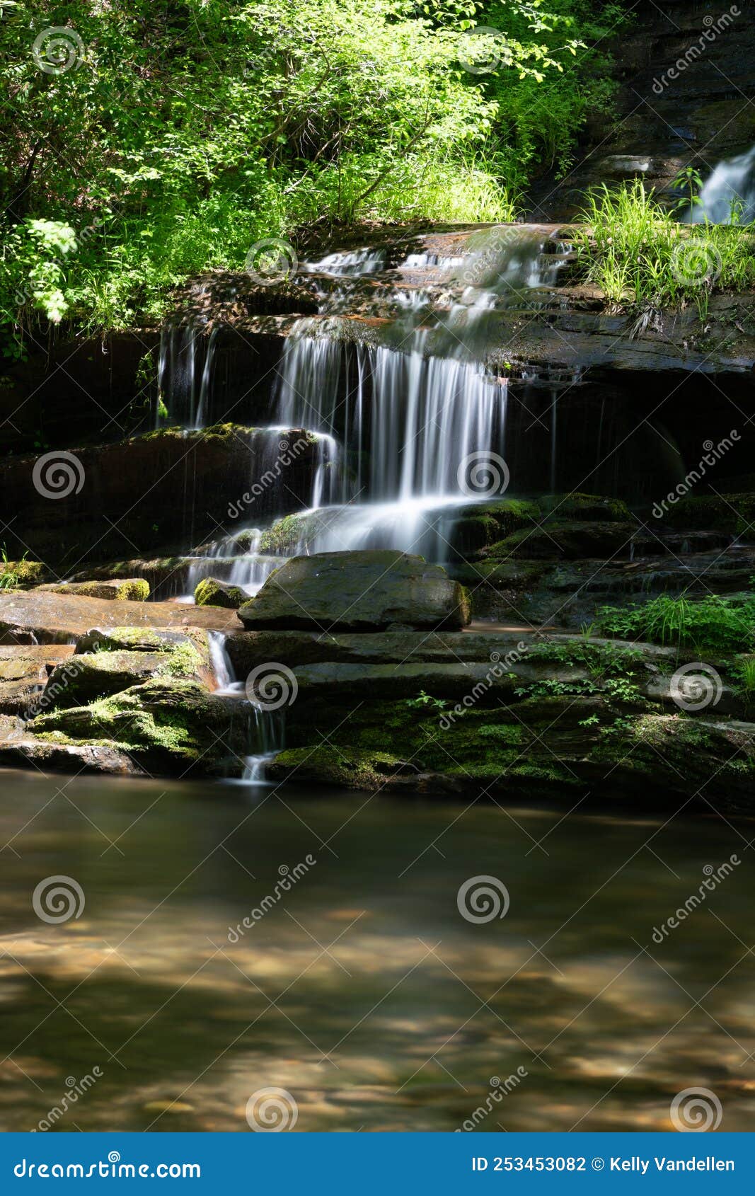 close up of the bottom of tom`s branch falls