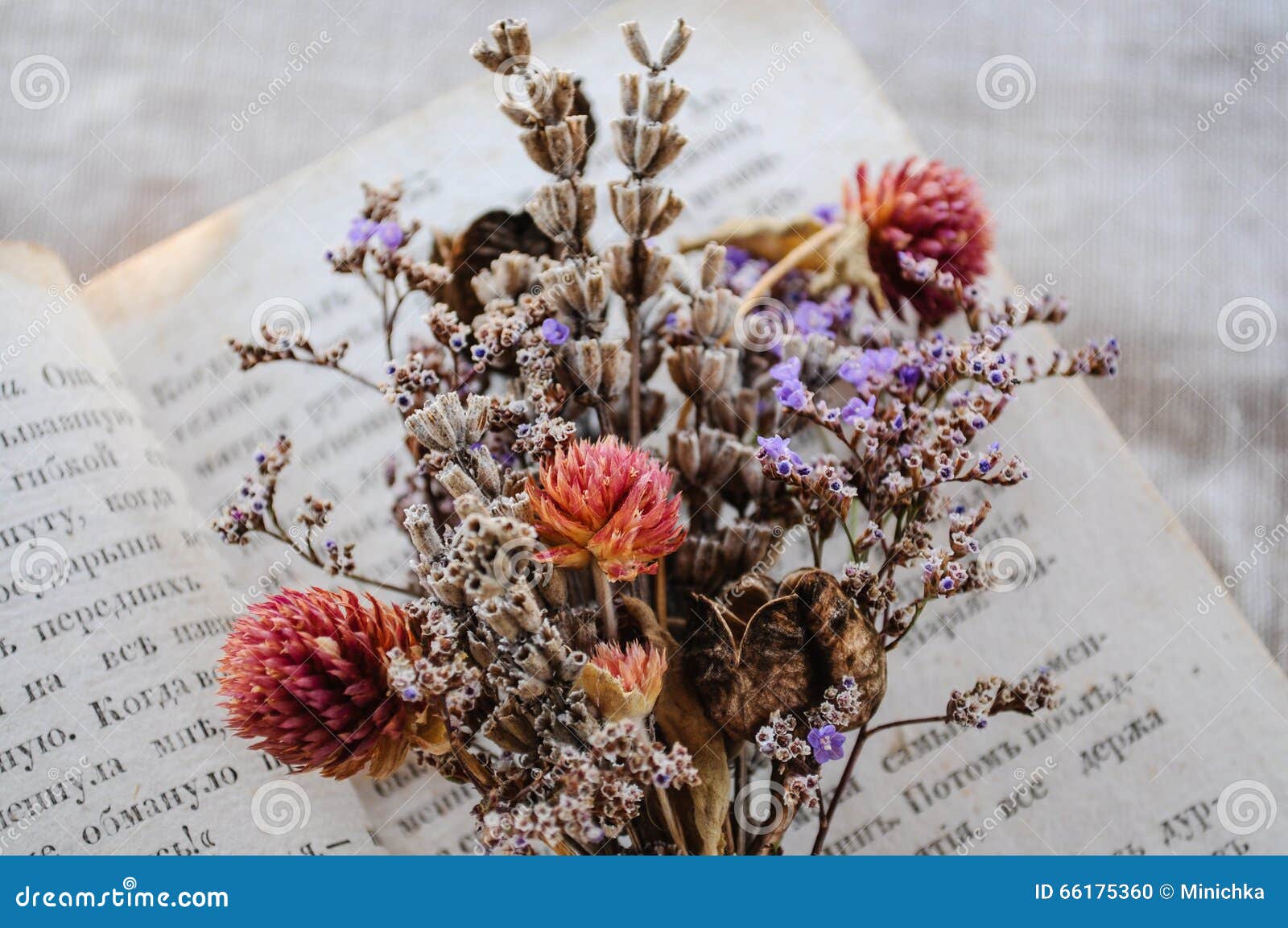 Close Up Bouquet Of Dry Flowers Stock Photo Image Of Floral Aura 66175360