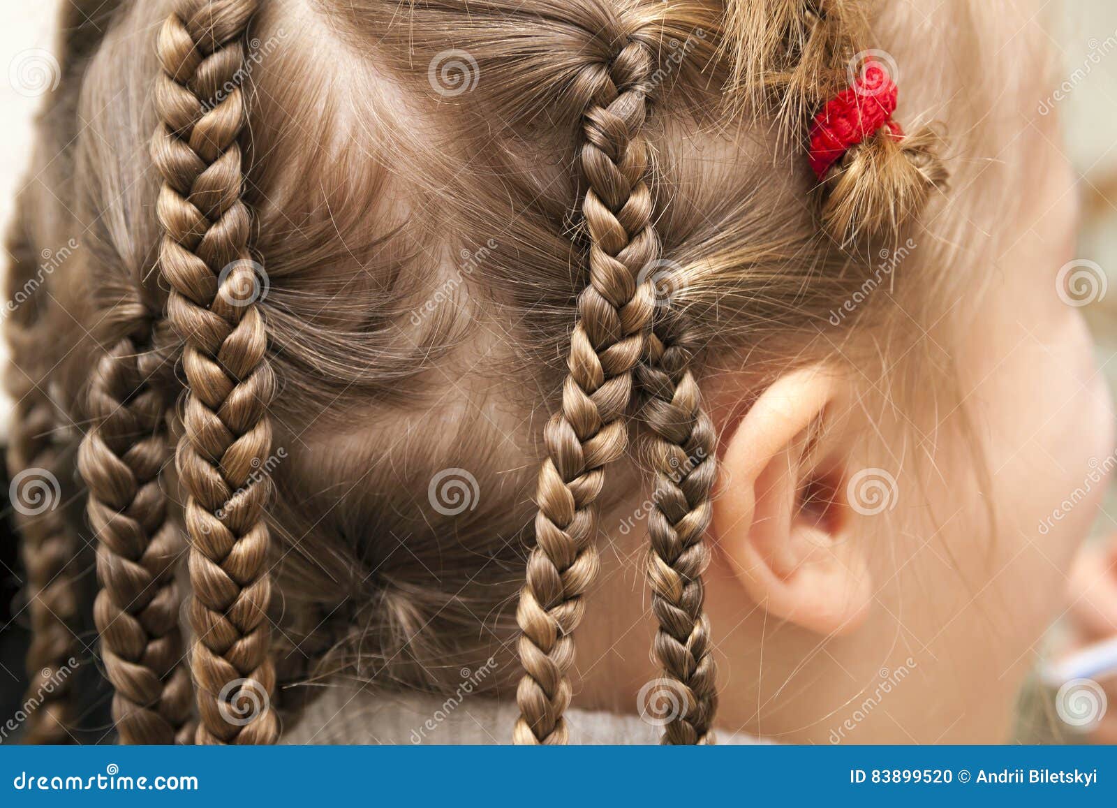 Close Up Of Braid Hair Of Little Girl Stock Photo Image Of