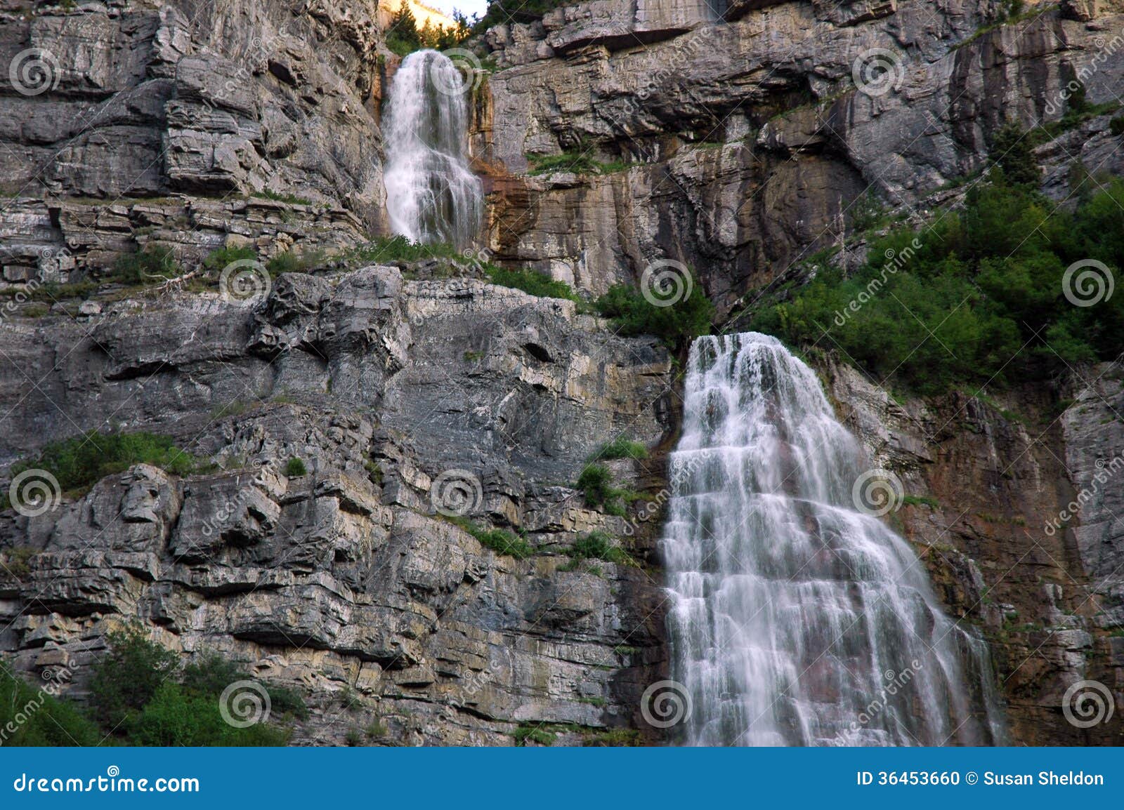 118 Bridal Falls Utah Photos Free Royalty Free Stock Photos From Dreamstime 118 Bridal Falls Utah Photos Free Royalty Free Stock Photos From Dreamstime