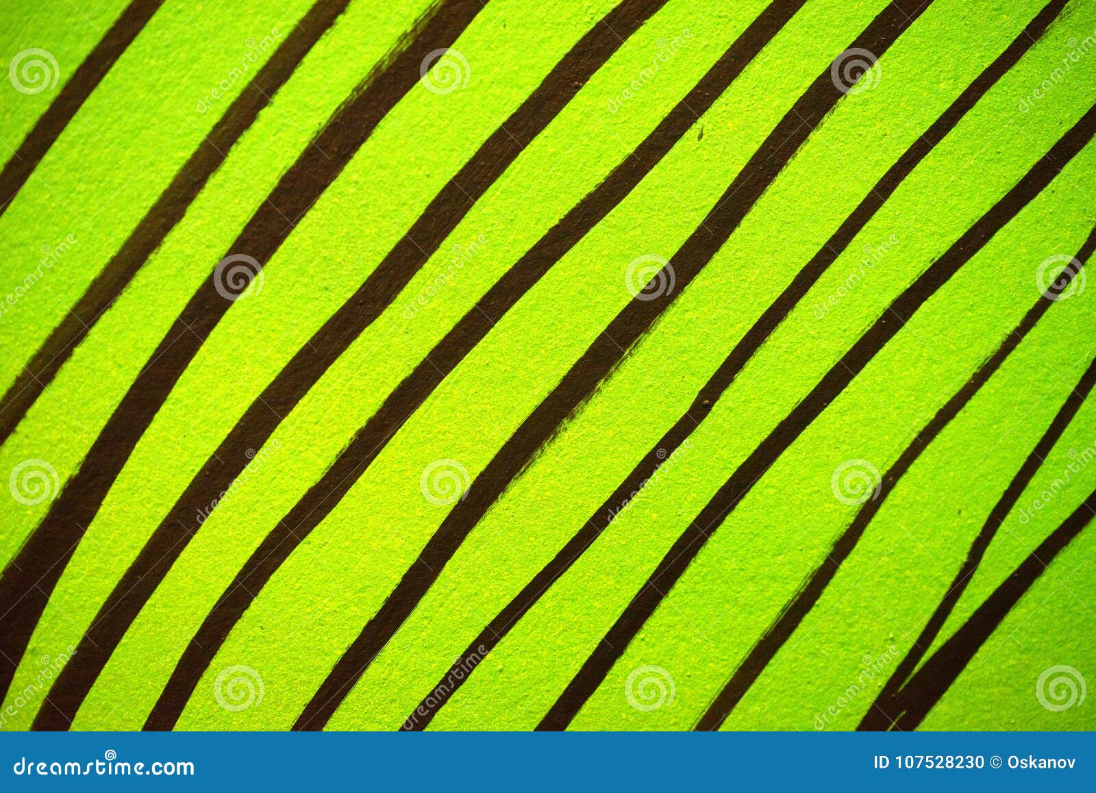 Abstract Pattern of Black Lines on Green Stock Photo Image of bright