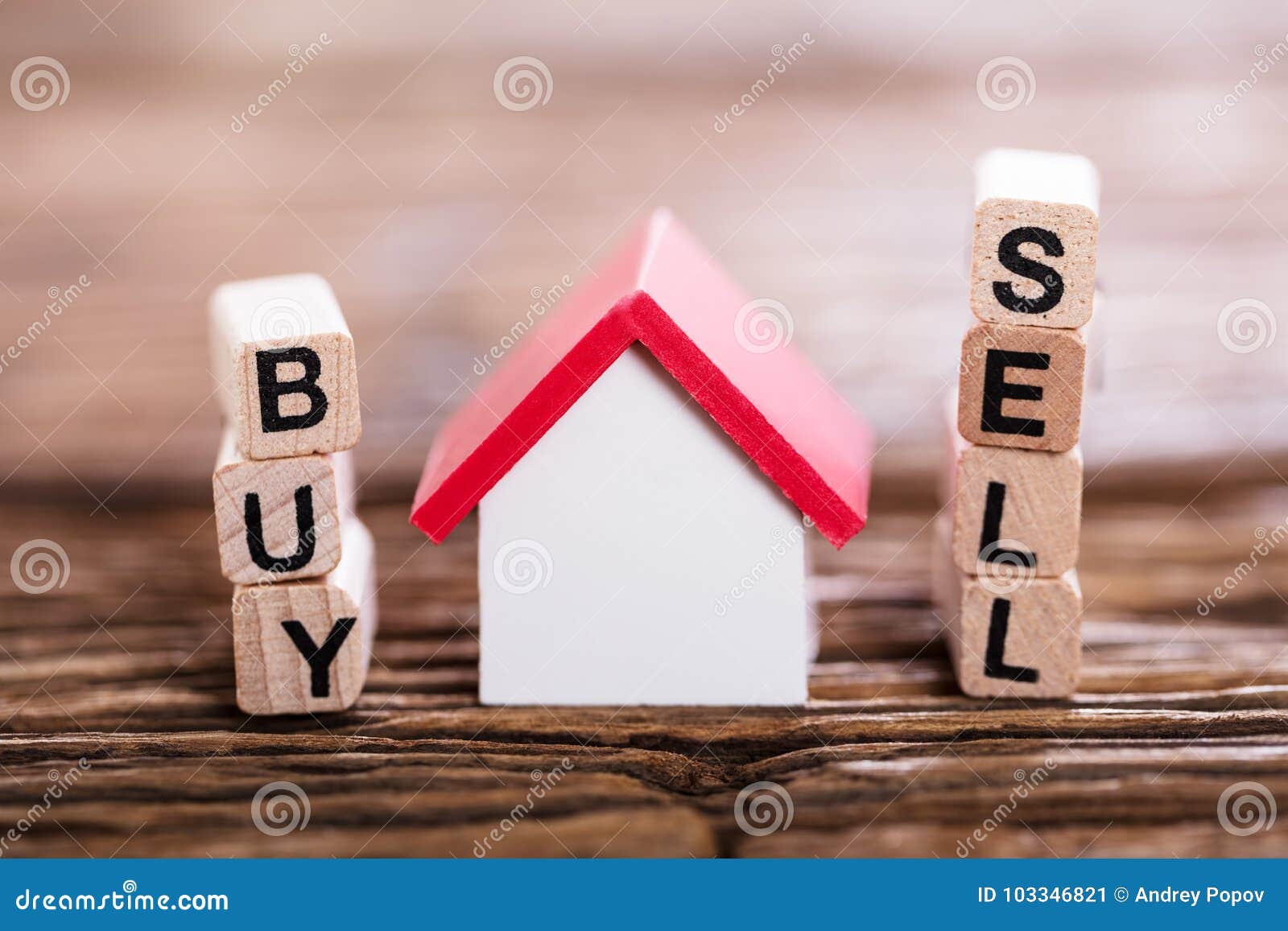 buy or sell option with small house model