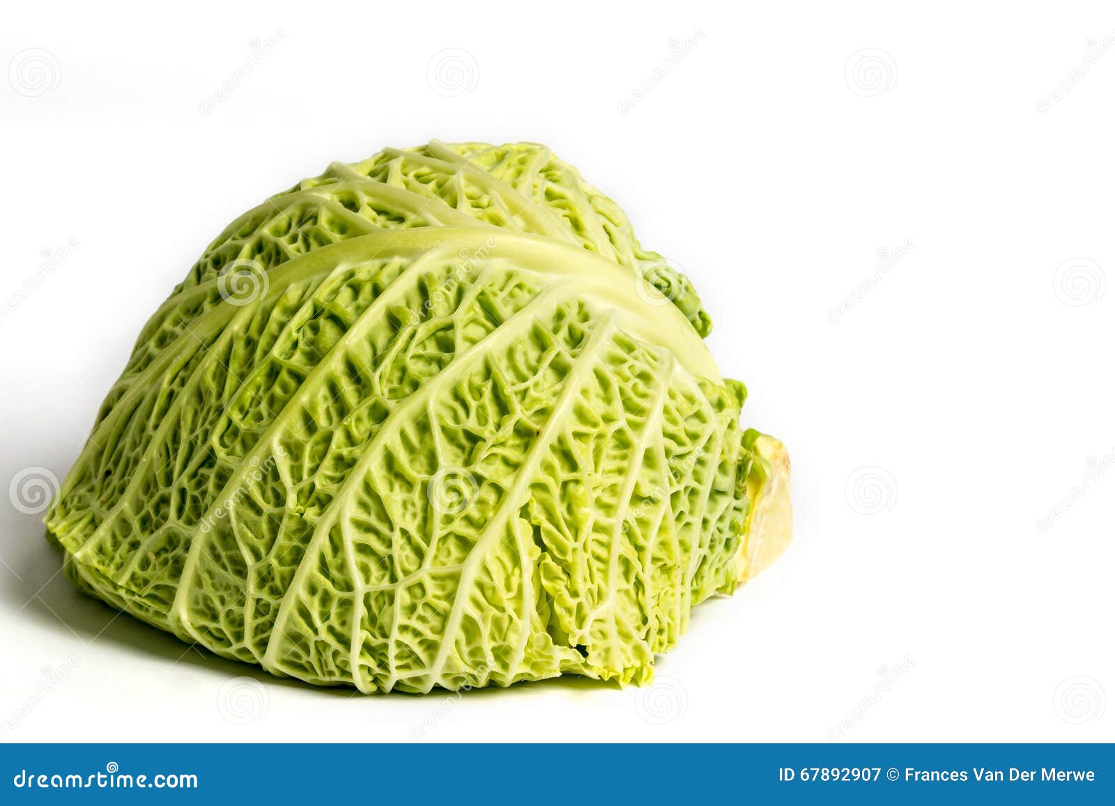 Closeup of cabbage stock image. Image of vegetarian 67892907