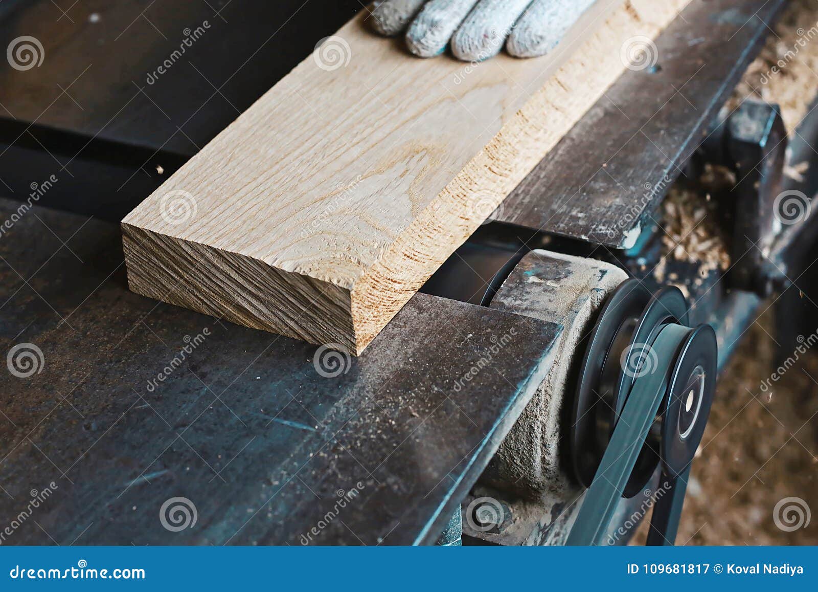 Close Up Carpenter Process of Wood Processing on the Machine, Planting