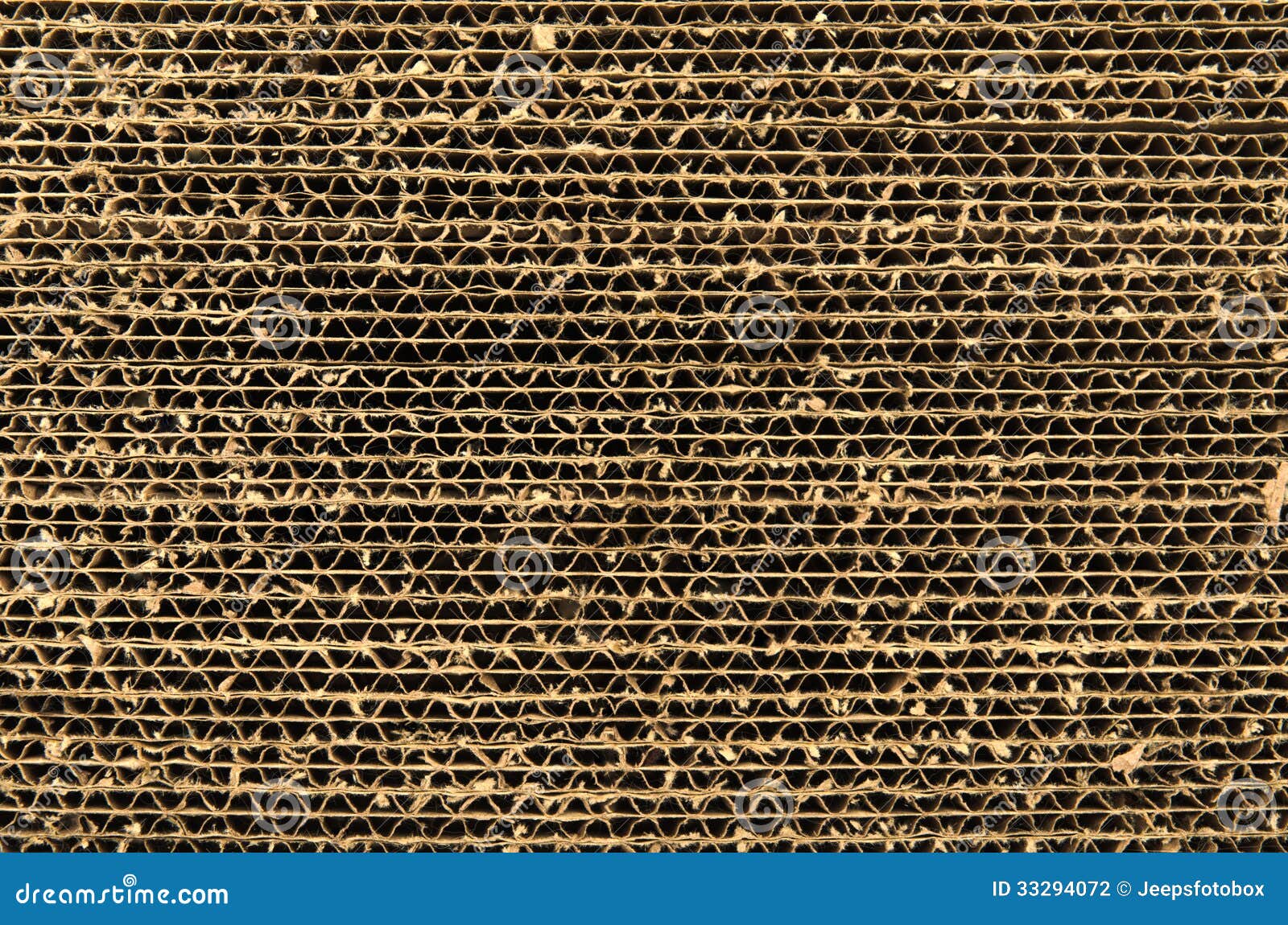 cat scratch board cardboard