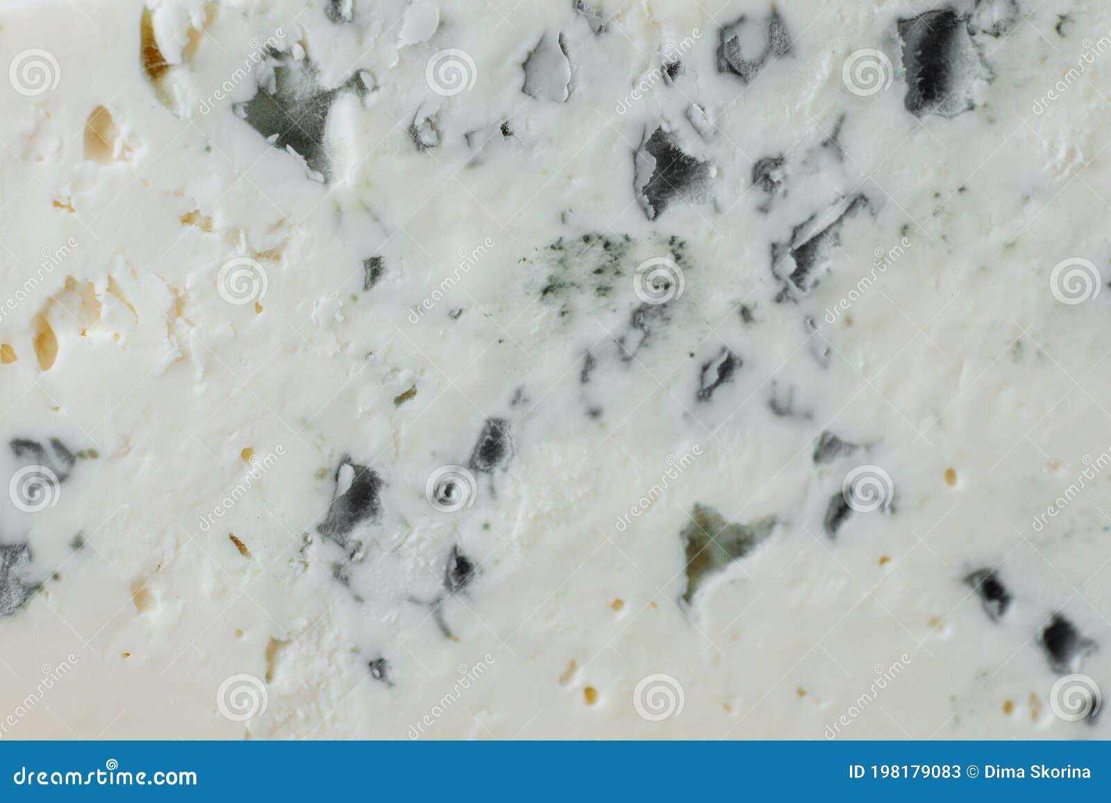 close-up of a cheese plate. 4 types of cheese, soft white brie cheese, camembert, semi-soft briques, blue, roquefort, hard cheese