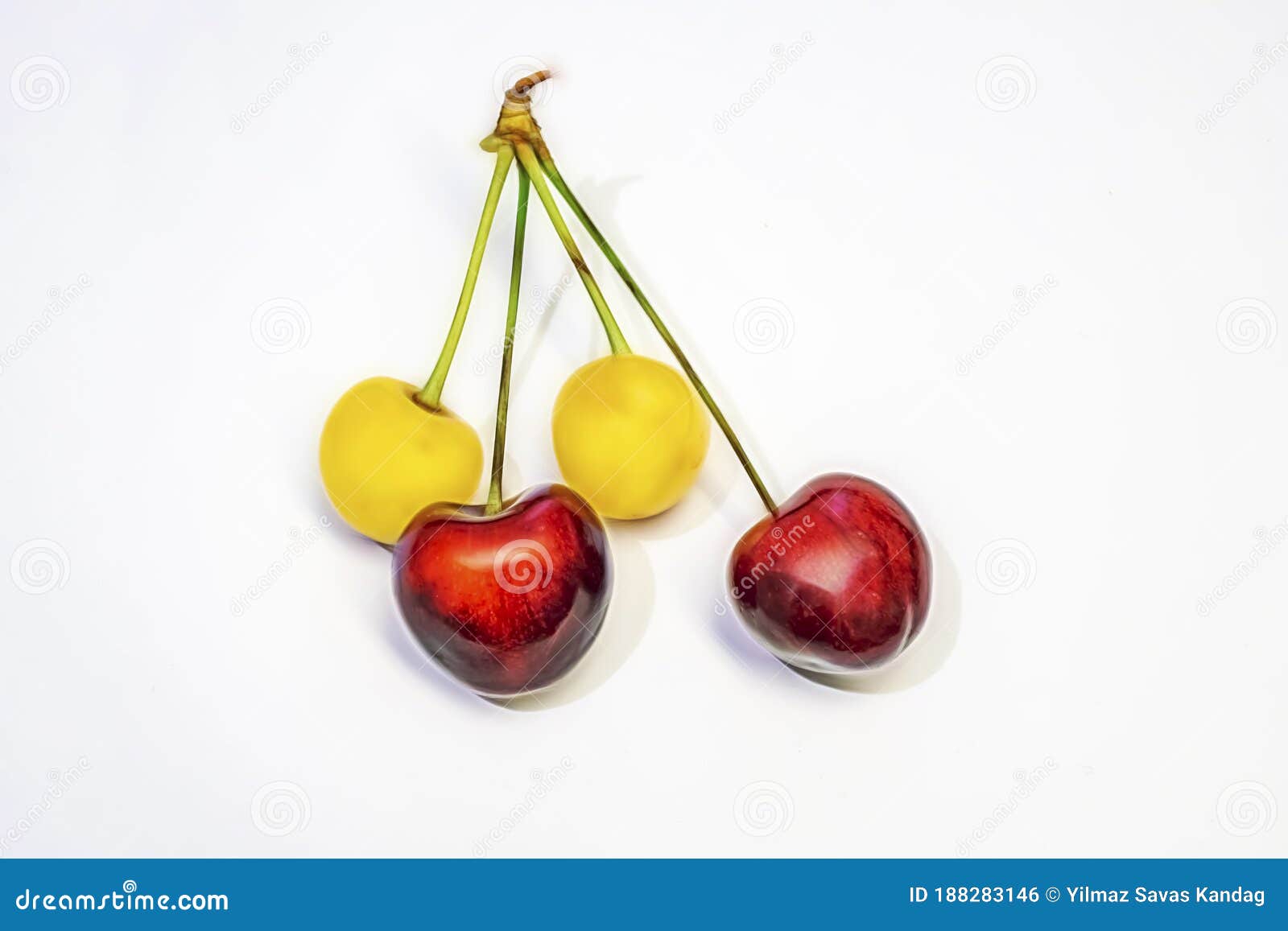 Cherries on a White Background Stock Photo Image of bright, close